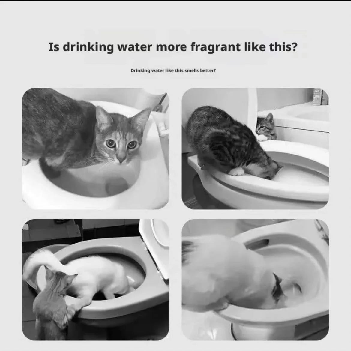 Toilet Water Bowl for Cat