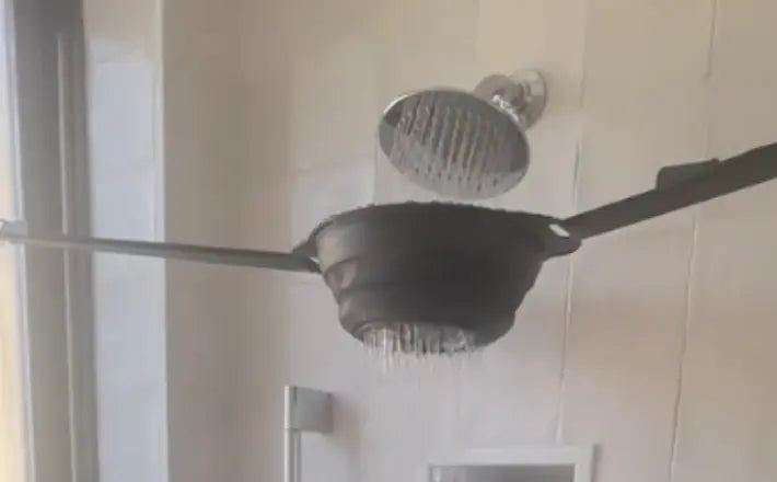 Antartic Shower Trendslana