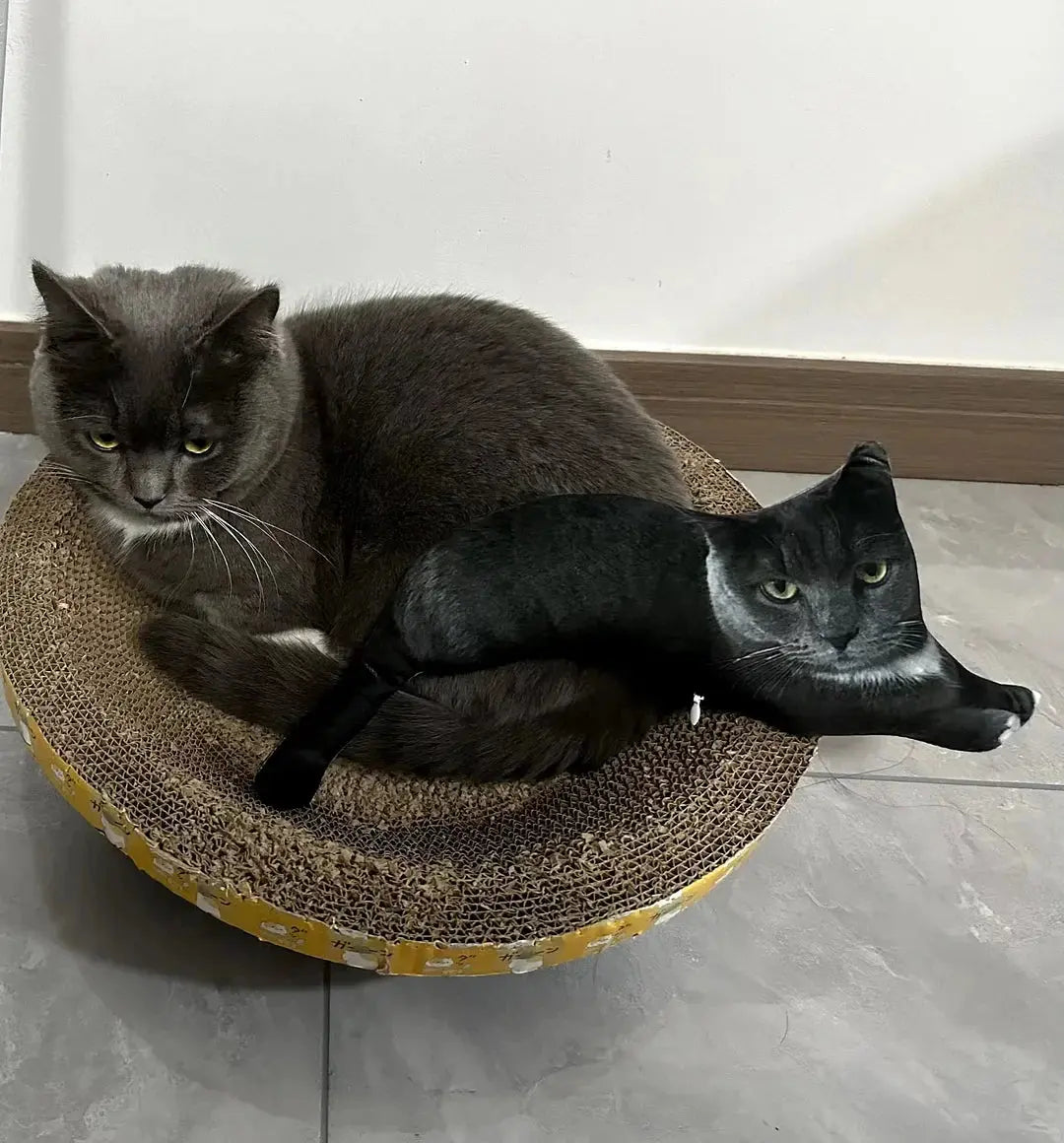 Cat Customizable pillows Trendzoid