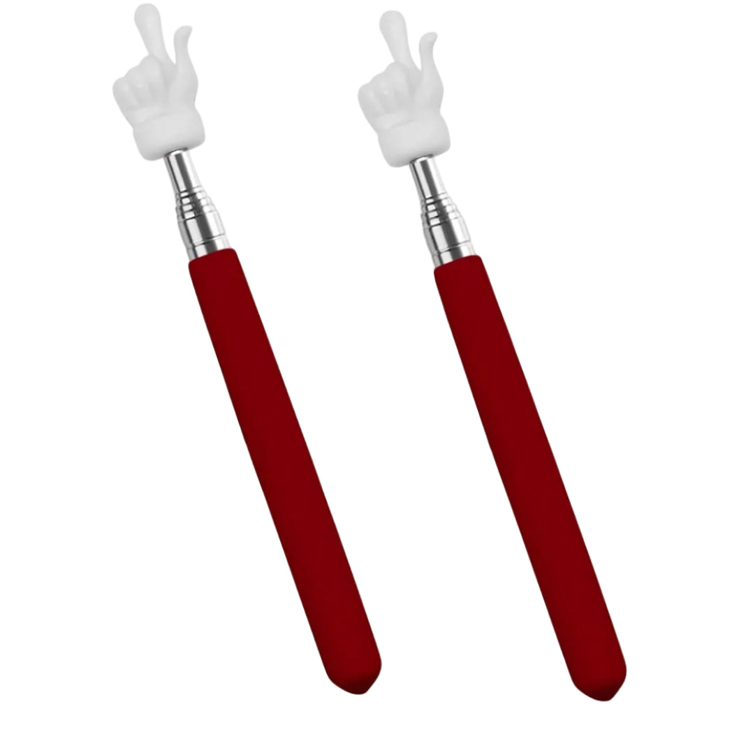 2Pcs Telescopic Teachers Pointer