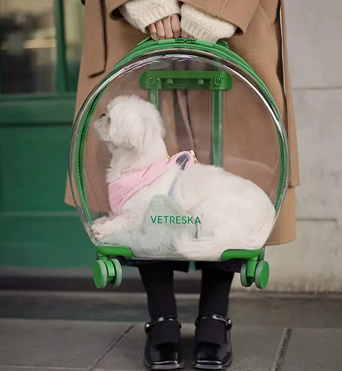 Pet Carrier with Stickers and 2 Mats, Pet Bag Trolley Case Trendslana