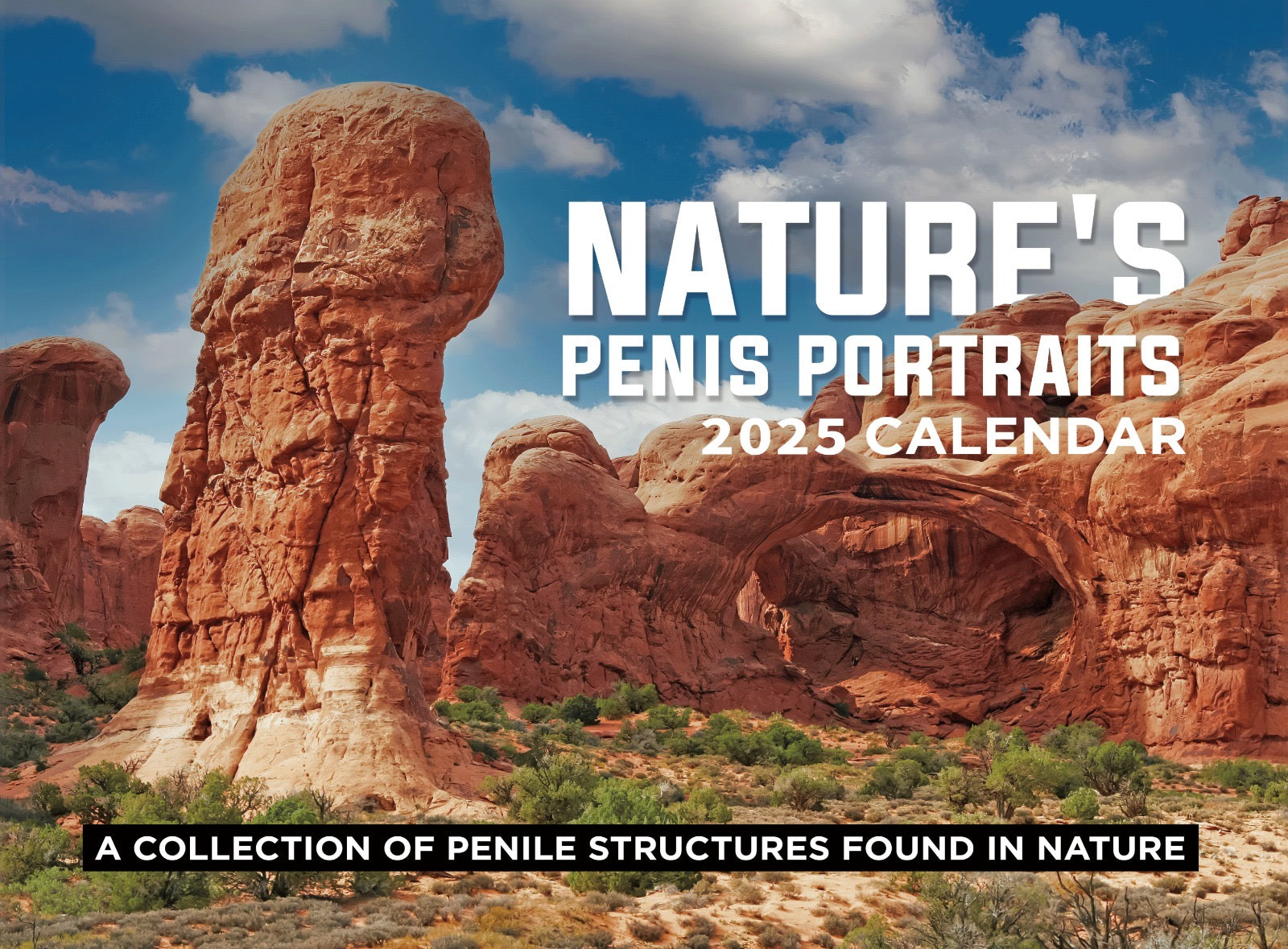 Nature's Pen!s Portrait 2025 Calendar