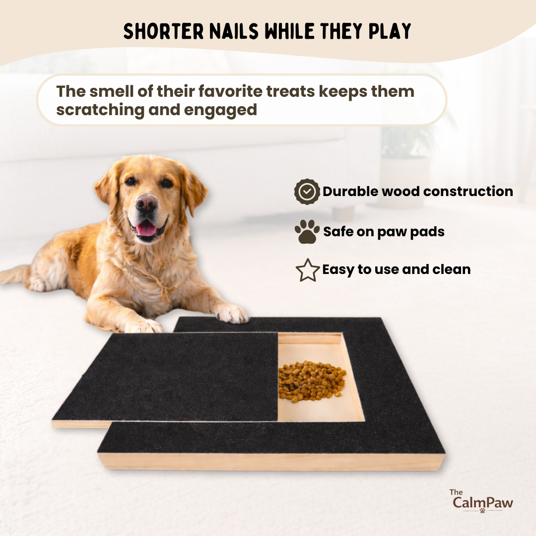 DOG SCRATCH BOARD FOR NAILS