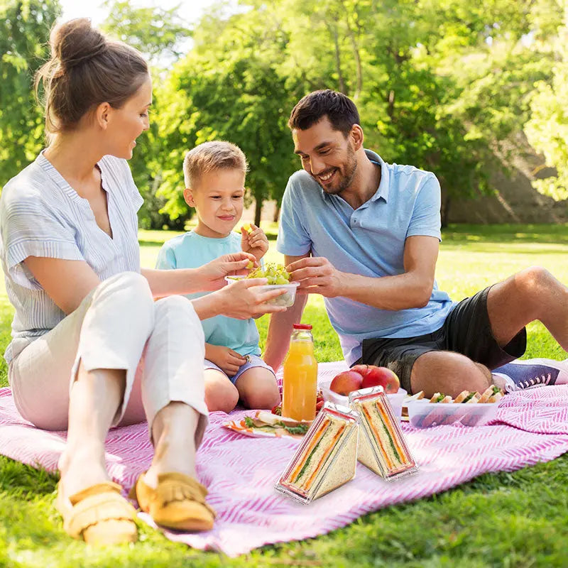 🥪Triangle Sandwich Container✨ Trendslana