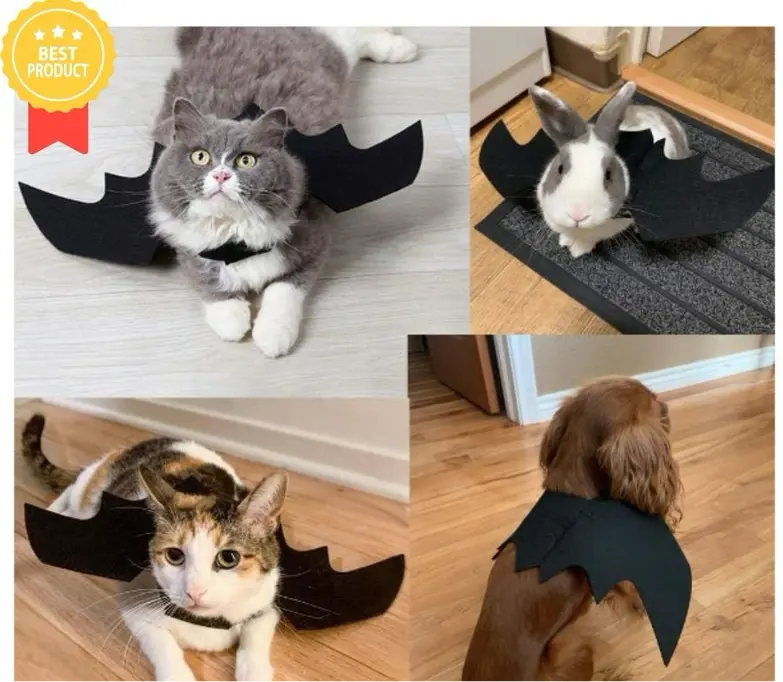 Bat Wings Costume for Pets Trendslana