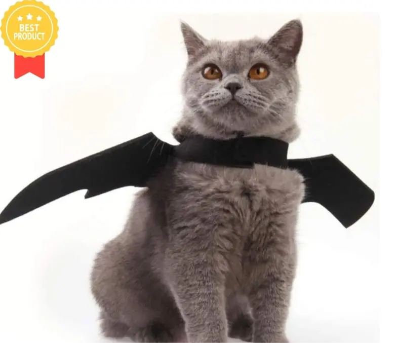 Bat Wings Costume for Pets Trendslana