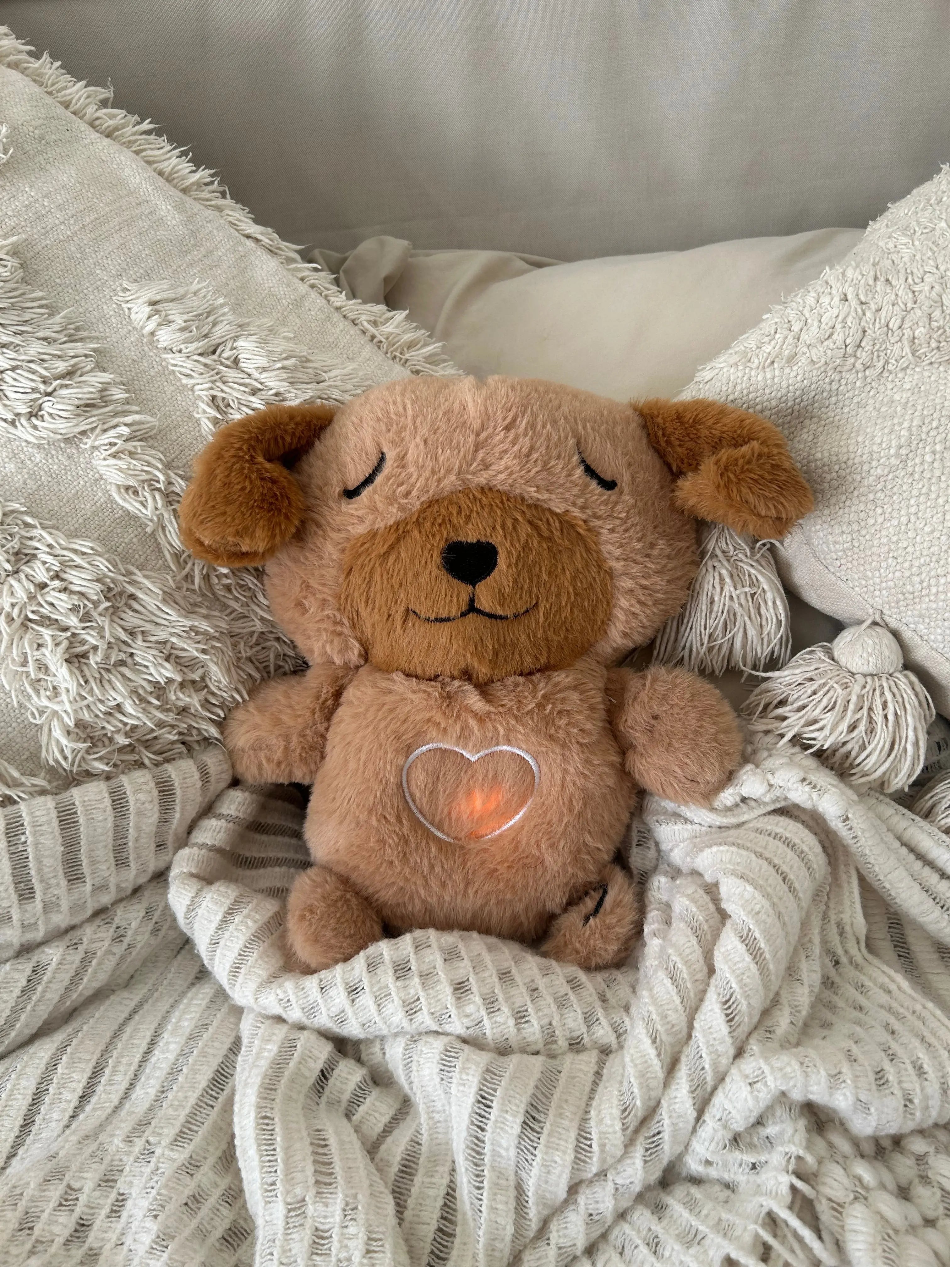 MY CUDDLE BUDDY Trendslana