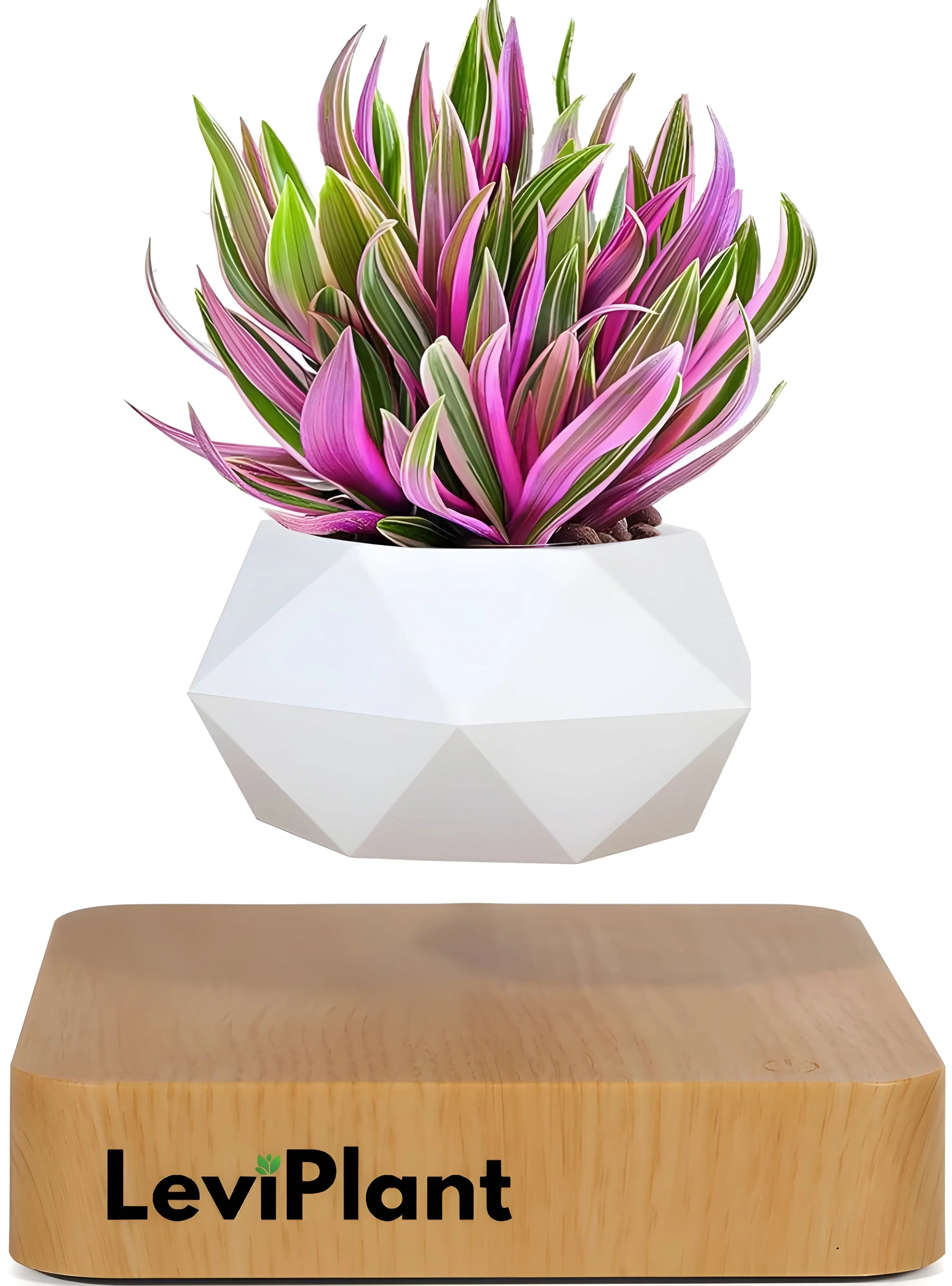 LEVI PLANT POT Trendslana