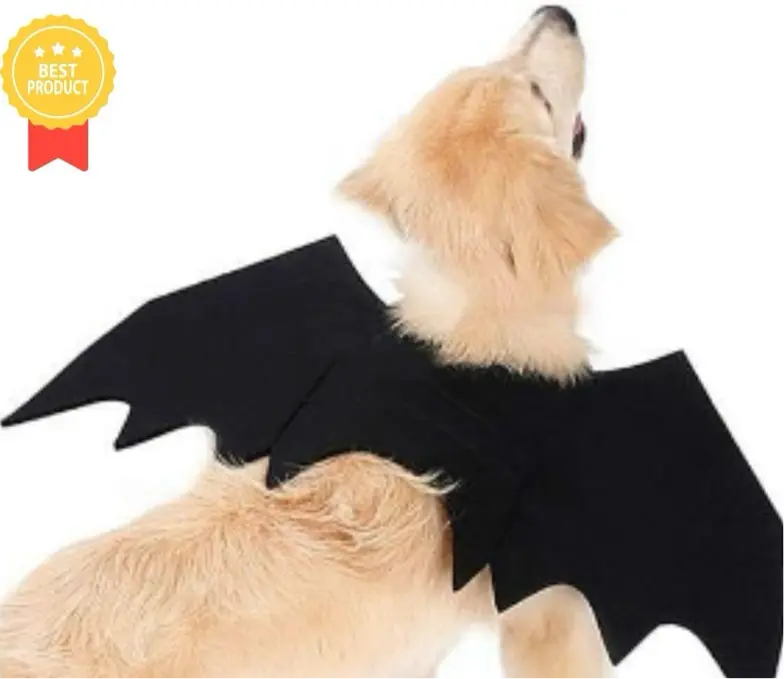 Bat Wings Costume for Pets Trendslana