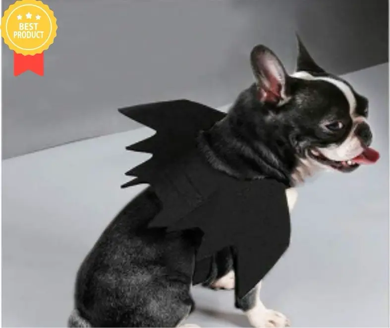 Bat Wings Costume for Pets Trendslana
