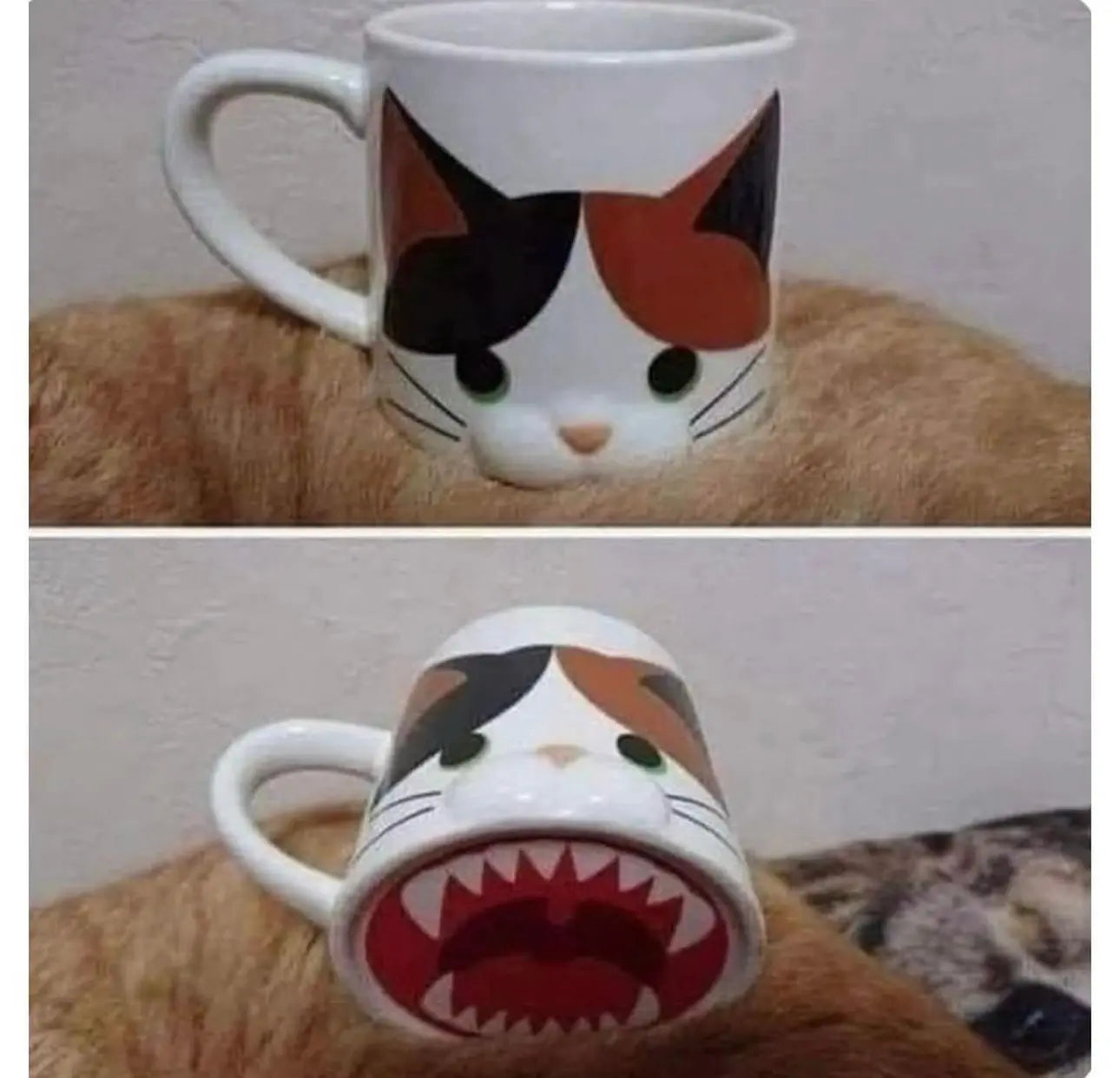 Chomping Cat Mug Trendslana