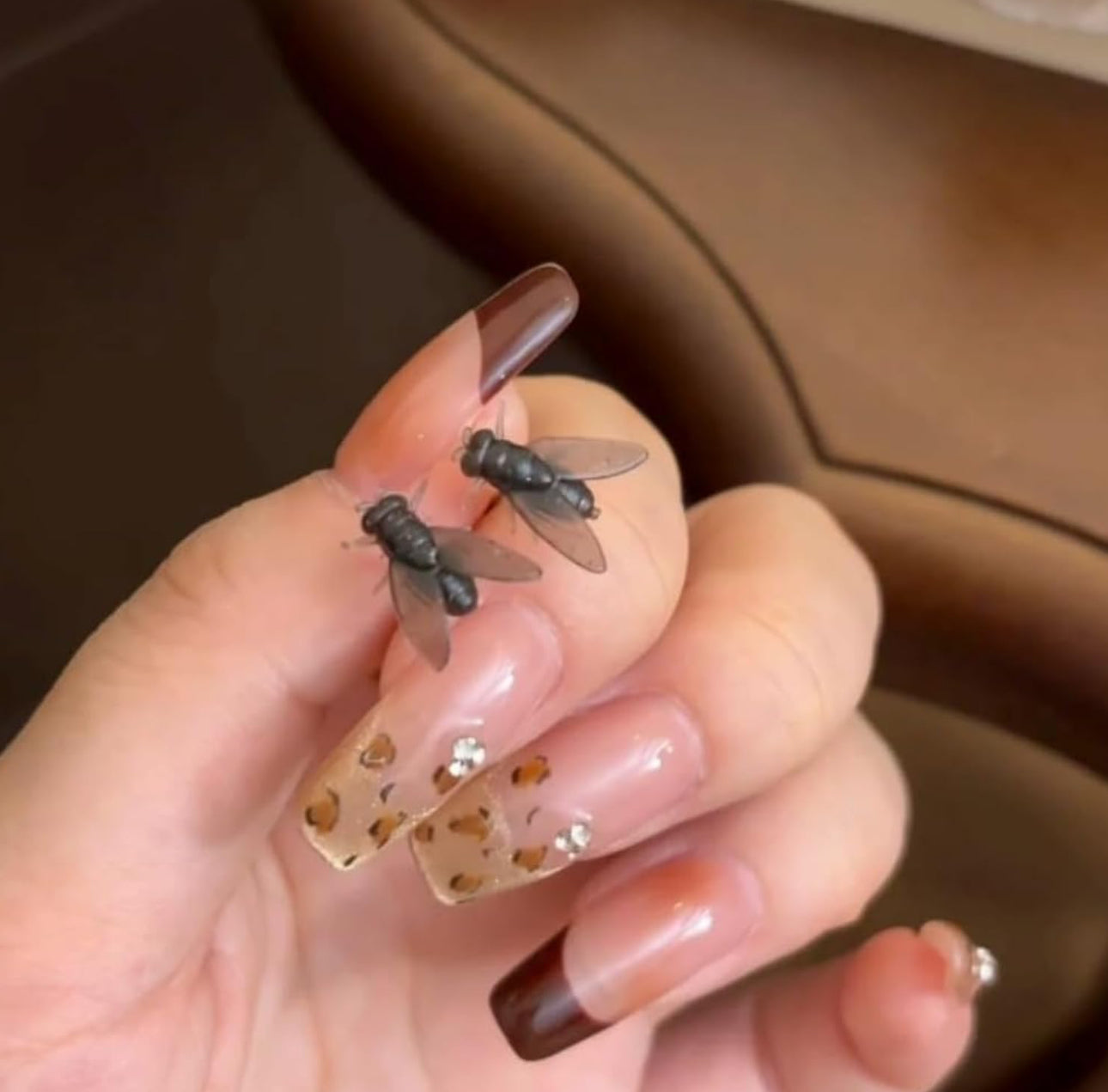 Realistic Fly Earrings