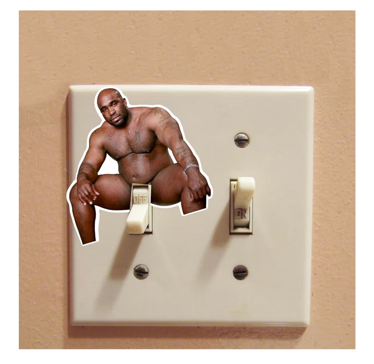 Funny Barry Wood Light Switch Decal Sticker