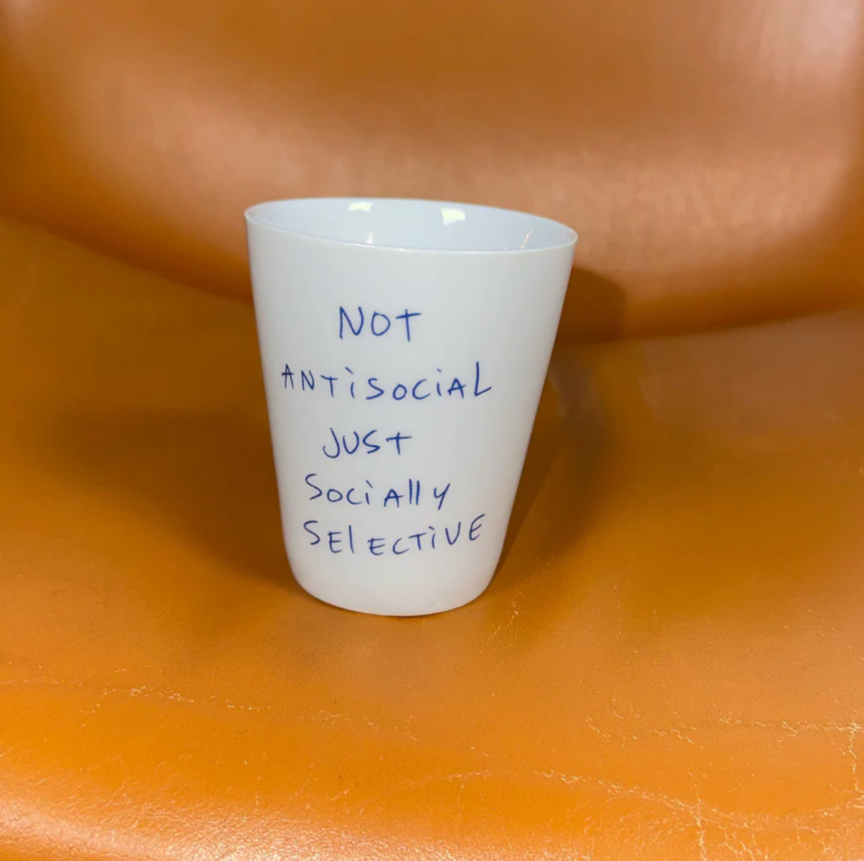 NOT ANTISOCIAL, JUST SOCIALLY SELECTIVE MUG