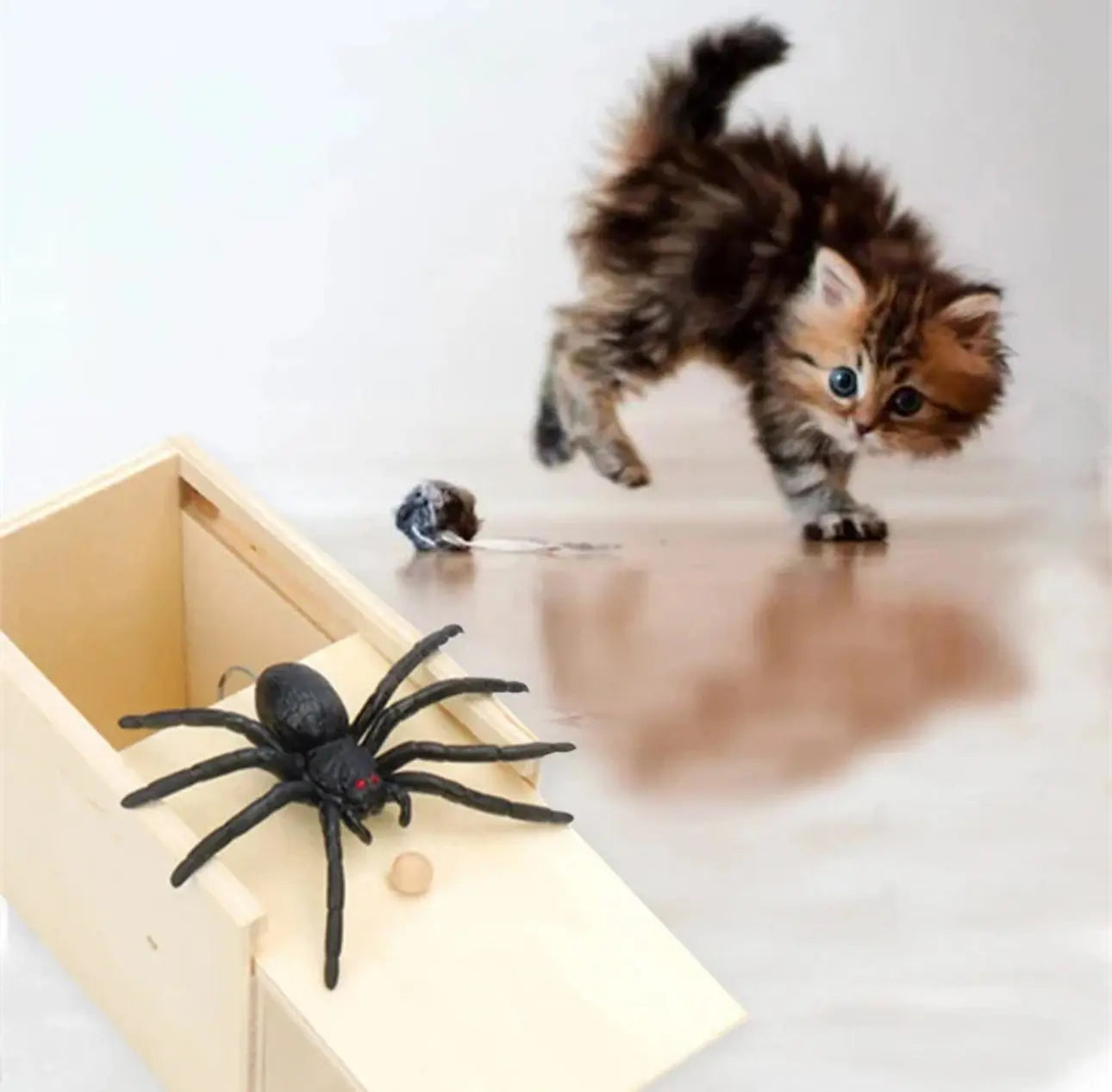 Spider Scare Prank Box Trendslana