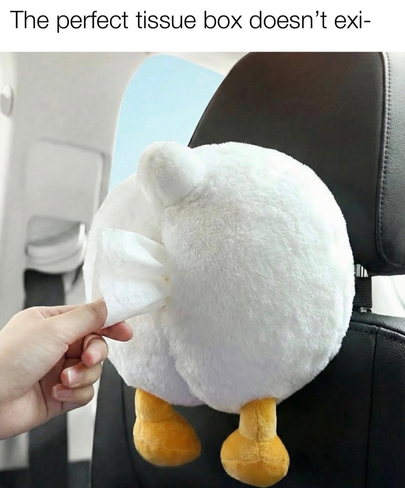Quackbottom Tissue Box