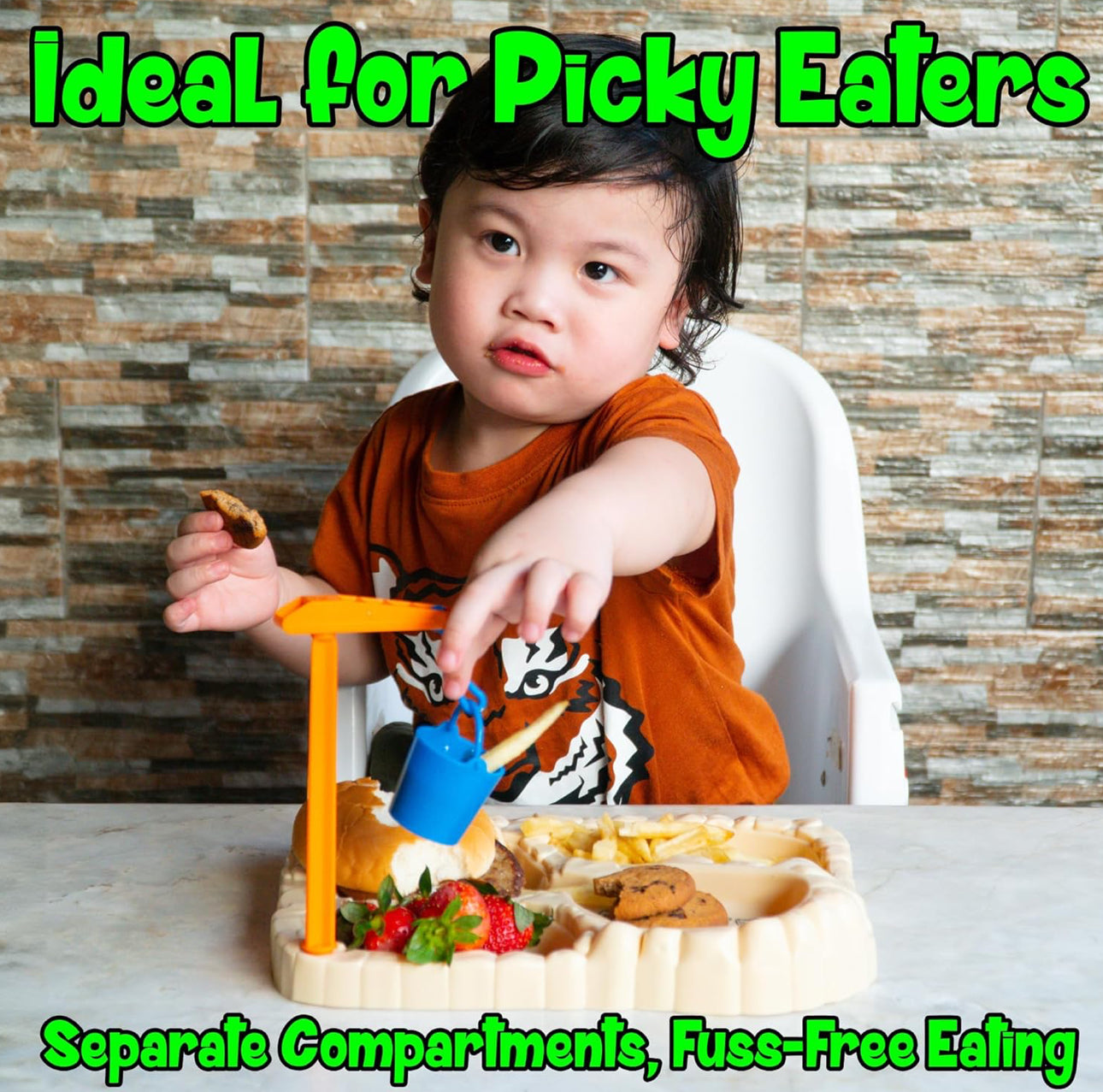 DINOSAUR EXCAVATION PLATE