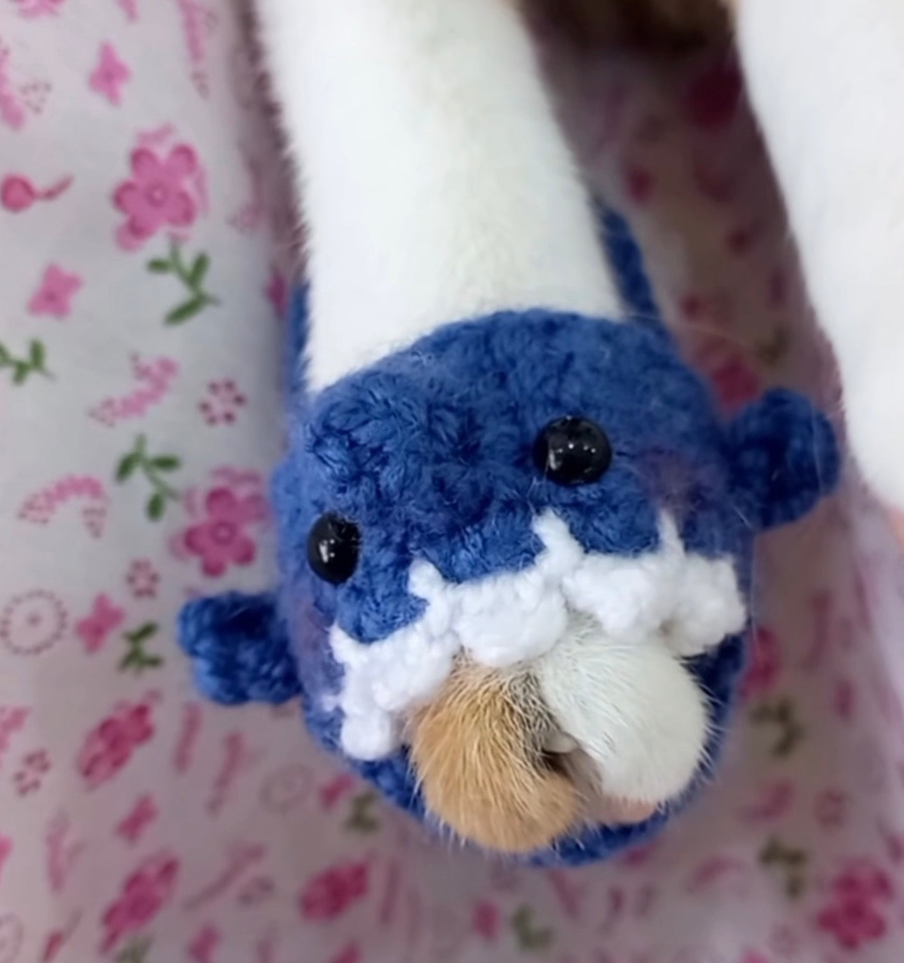 Crochet Shark Slipper