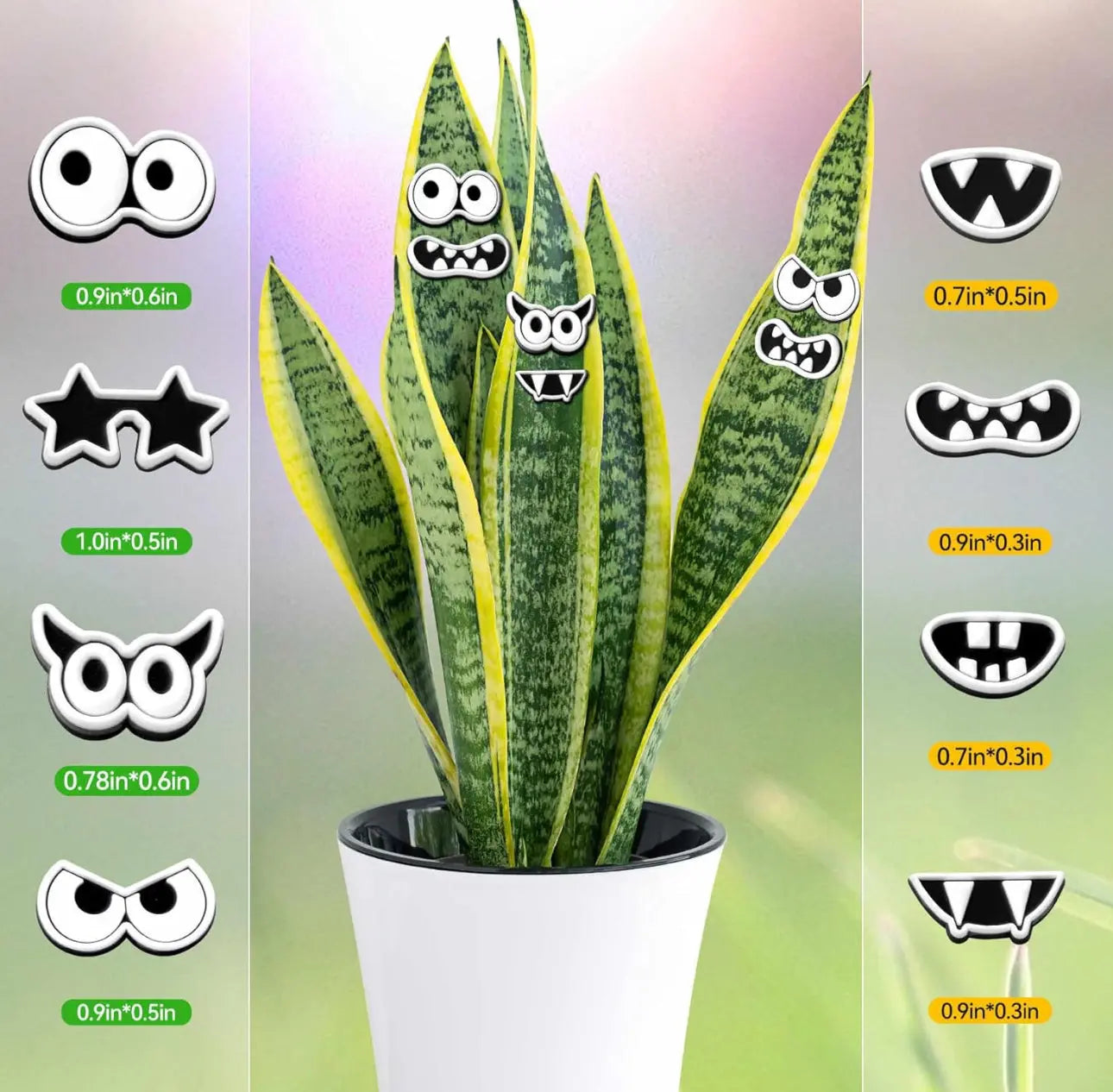 Plant Magnets Eyes Trendslana