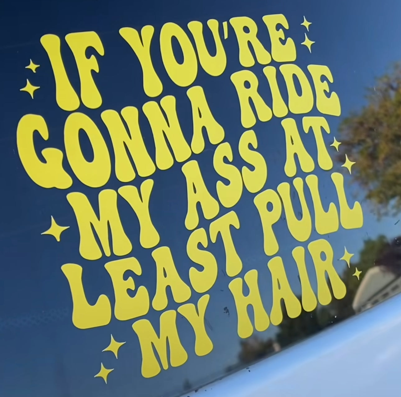 If You're Gonna Ride My Ass At Least Pull My Hair Car Decal
