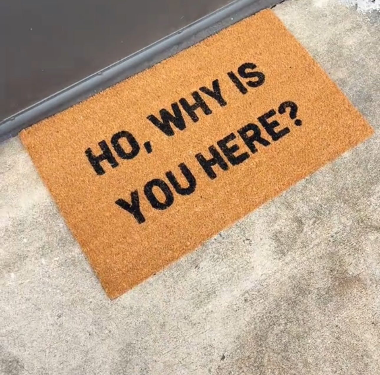 Ho, Why Is You Here Doormat
