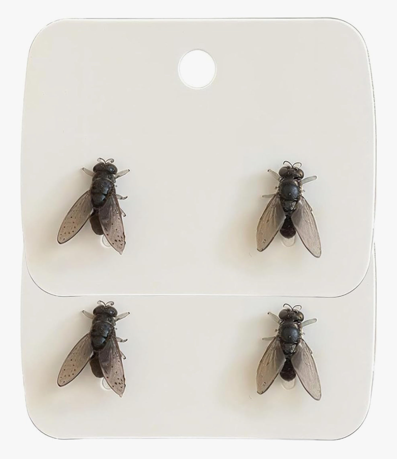 Realistic Fly Earrings