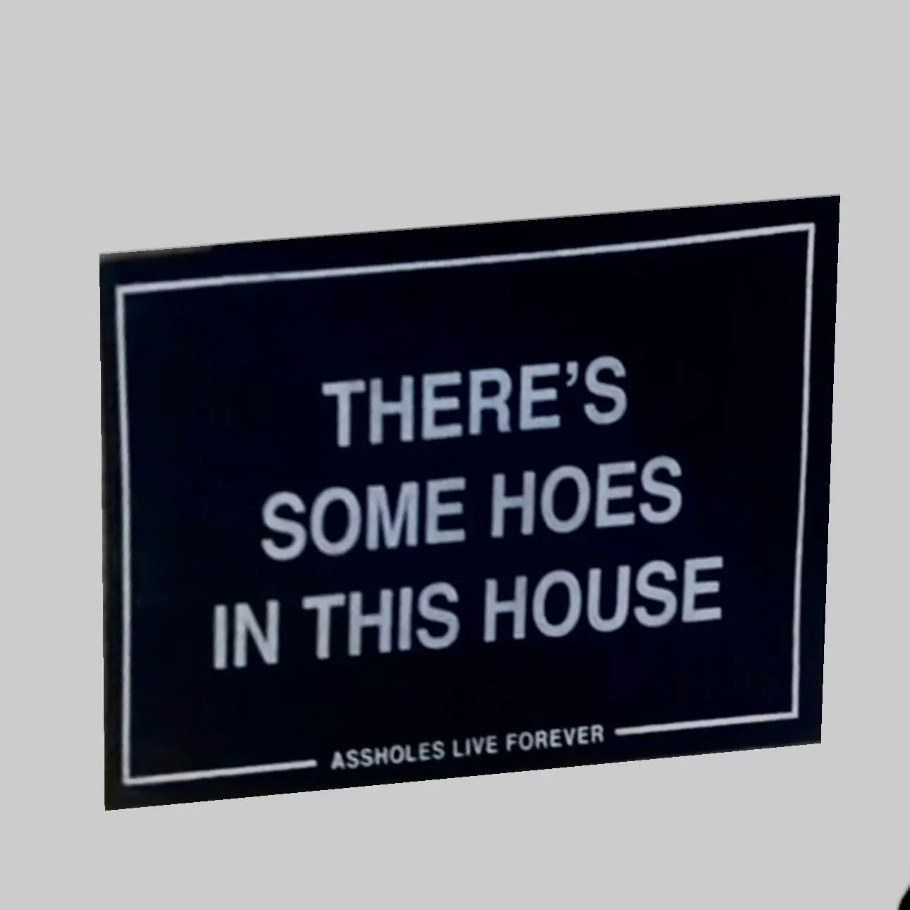 There's Some Hoes in this House Doormat Trendslana