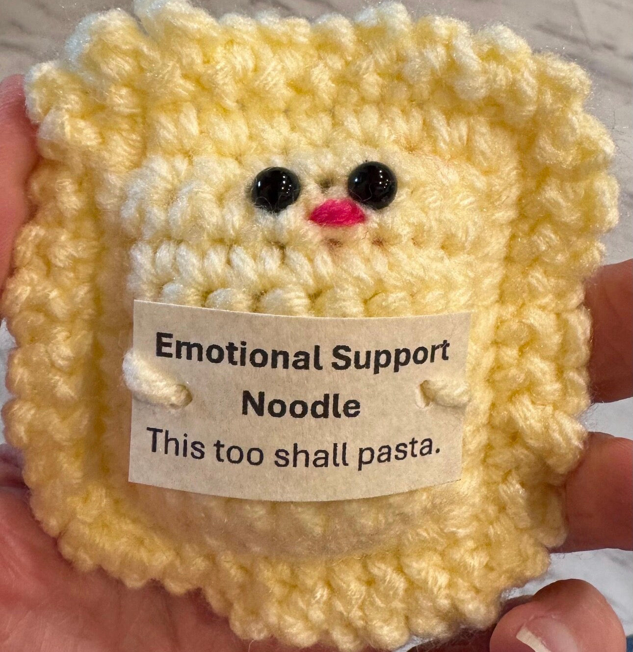 Emotional Support Ravioli