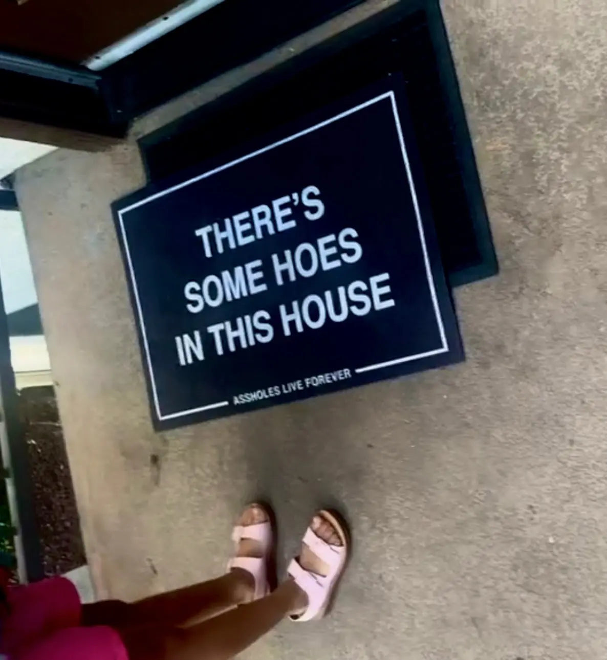 There's Some Hoes in this House Doormat Trendslana
