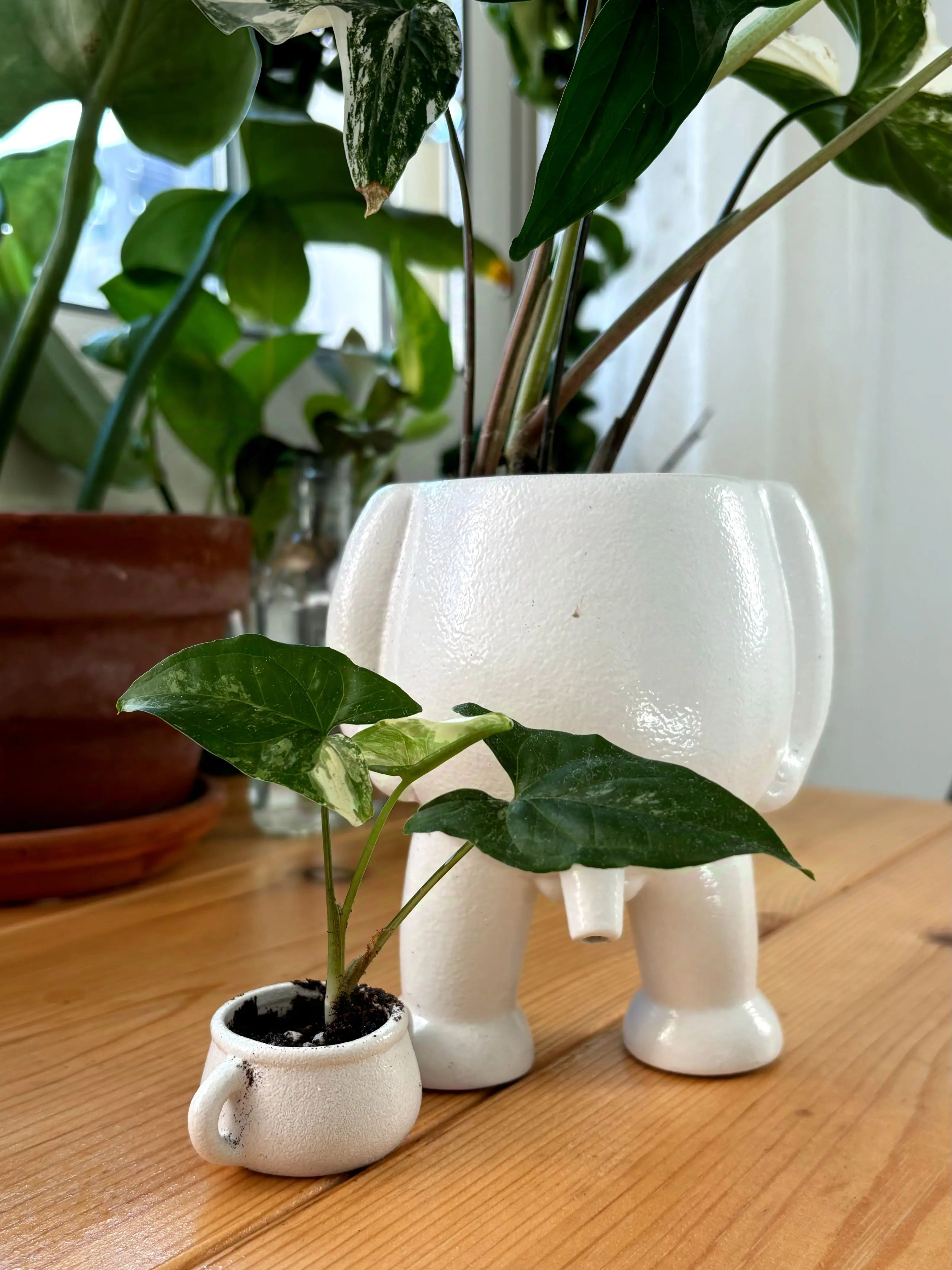 Ceramic Peeing Pot & Potty Trendslana