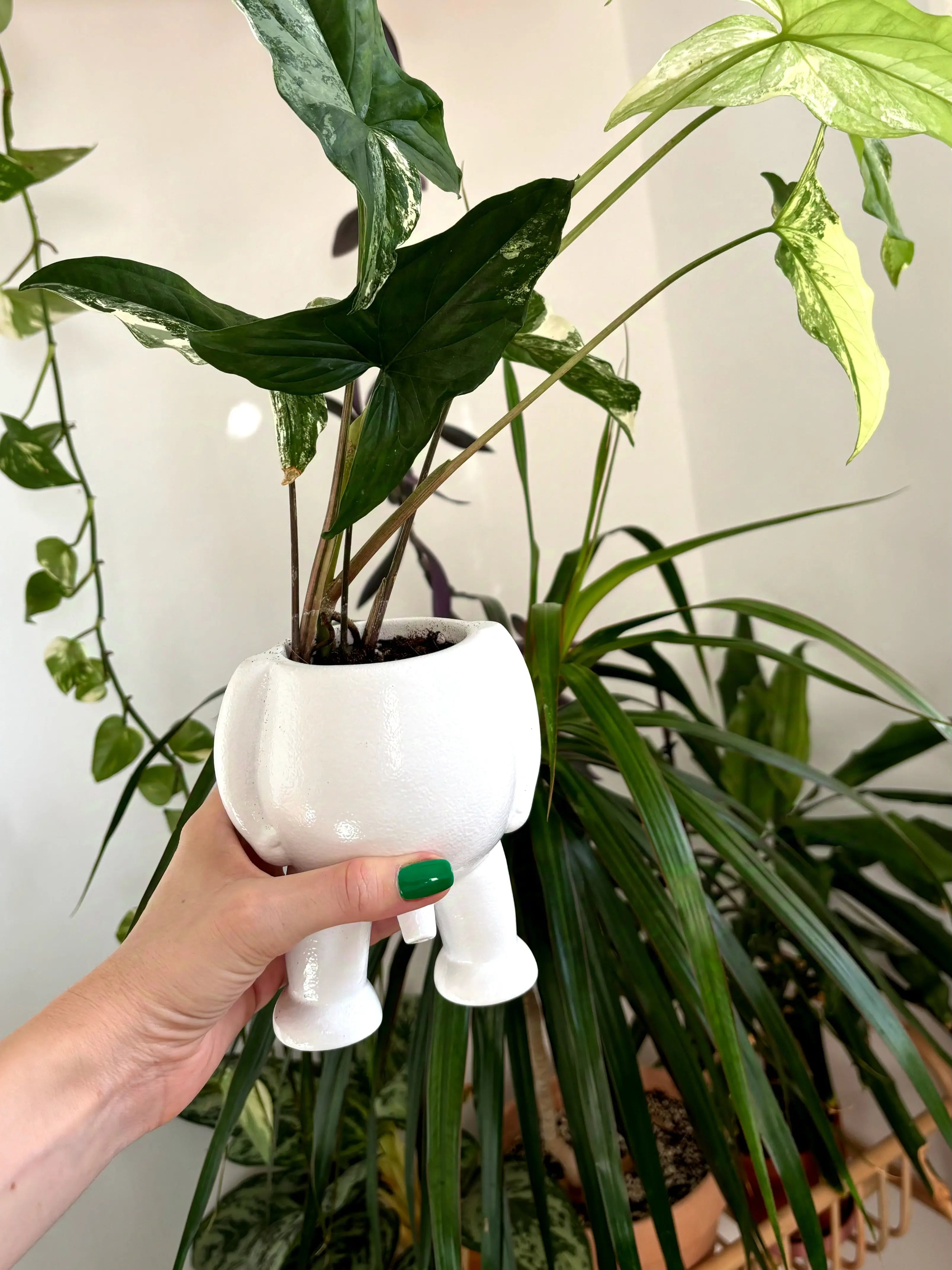 Ceramic Peeing Pot & Potty Trendslana