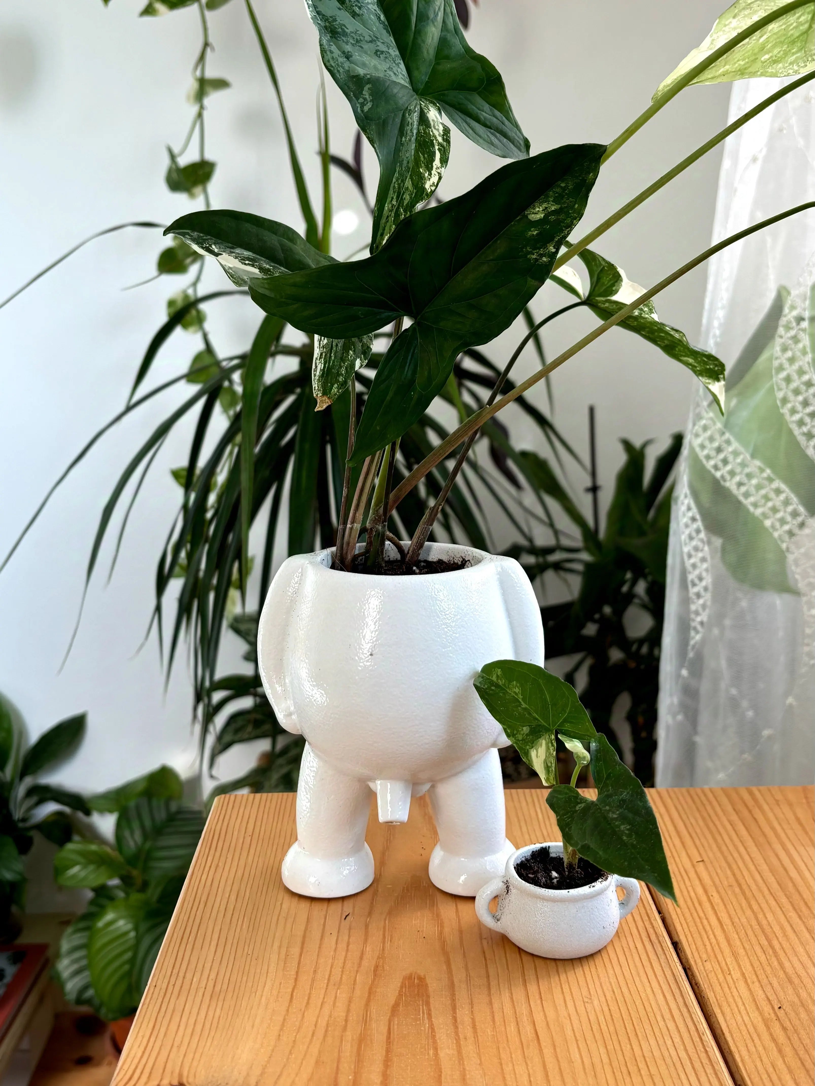 Ceramic Peeing Pot & Potty Trendslana