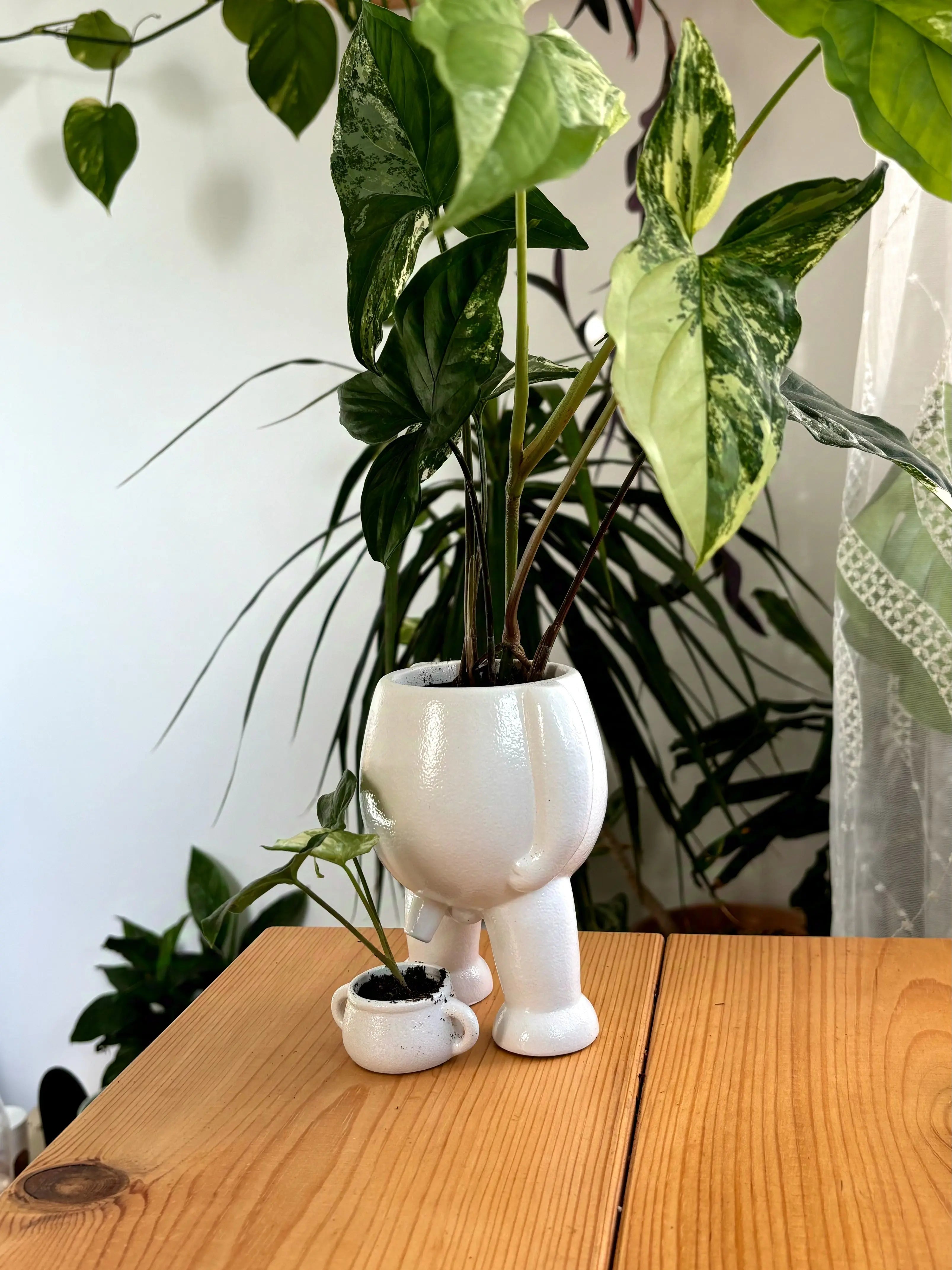 Ceramic Peeing Pot & Potty Trendslana