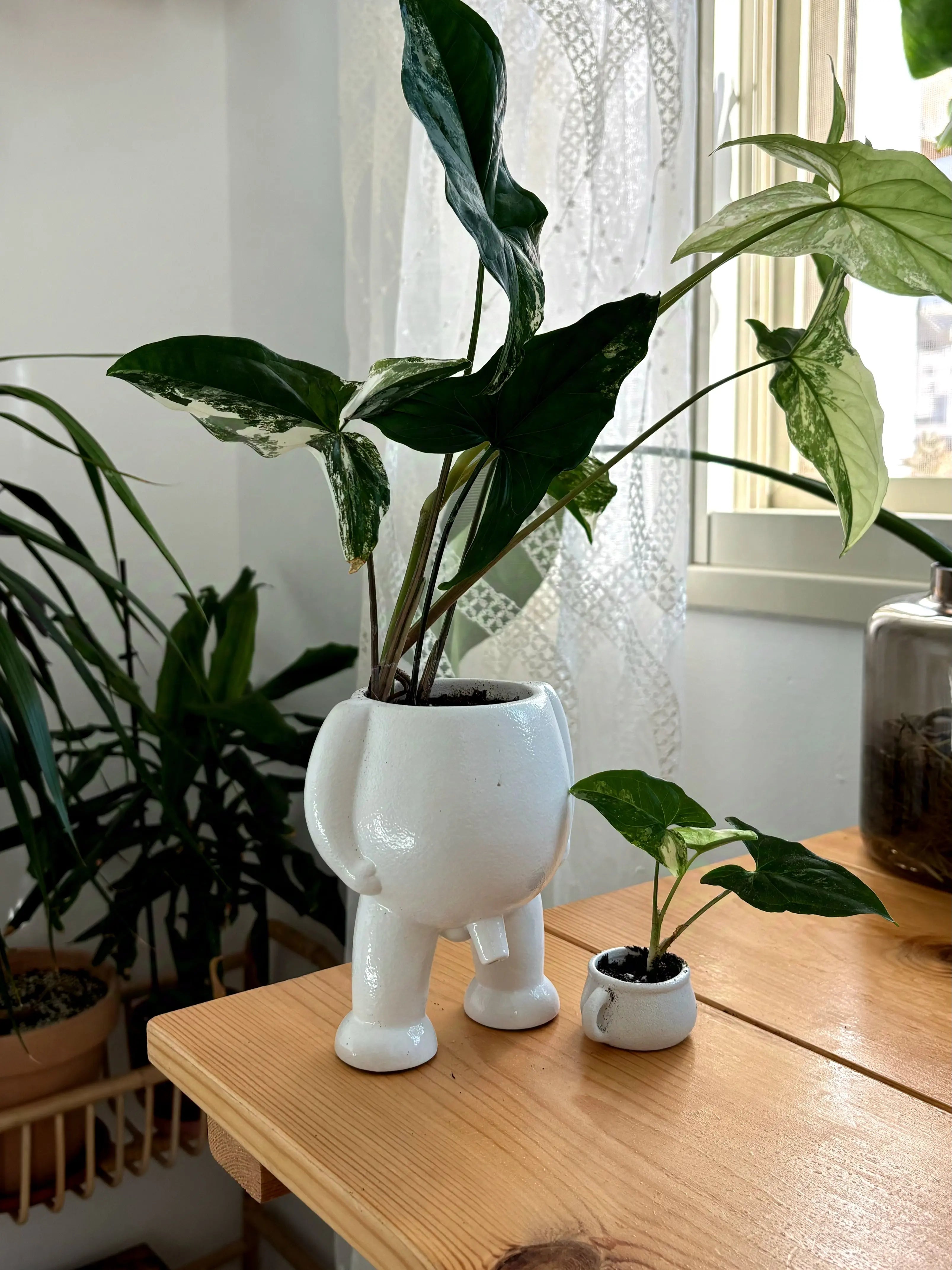 Ceramic Peeing Pot & Potty Trendslana
