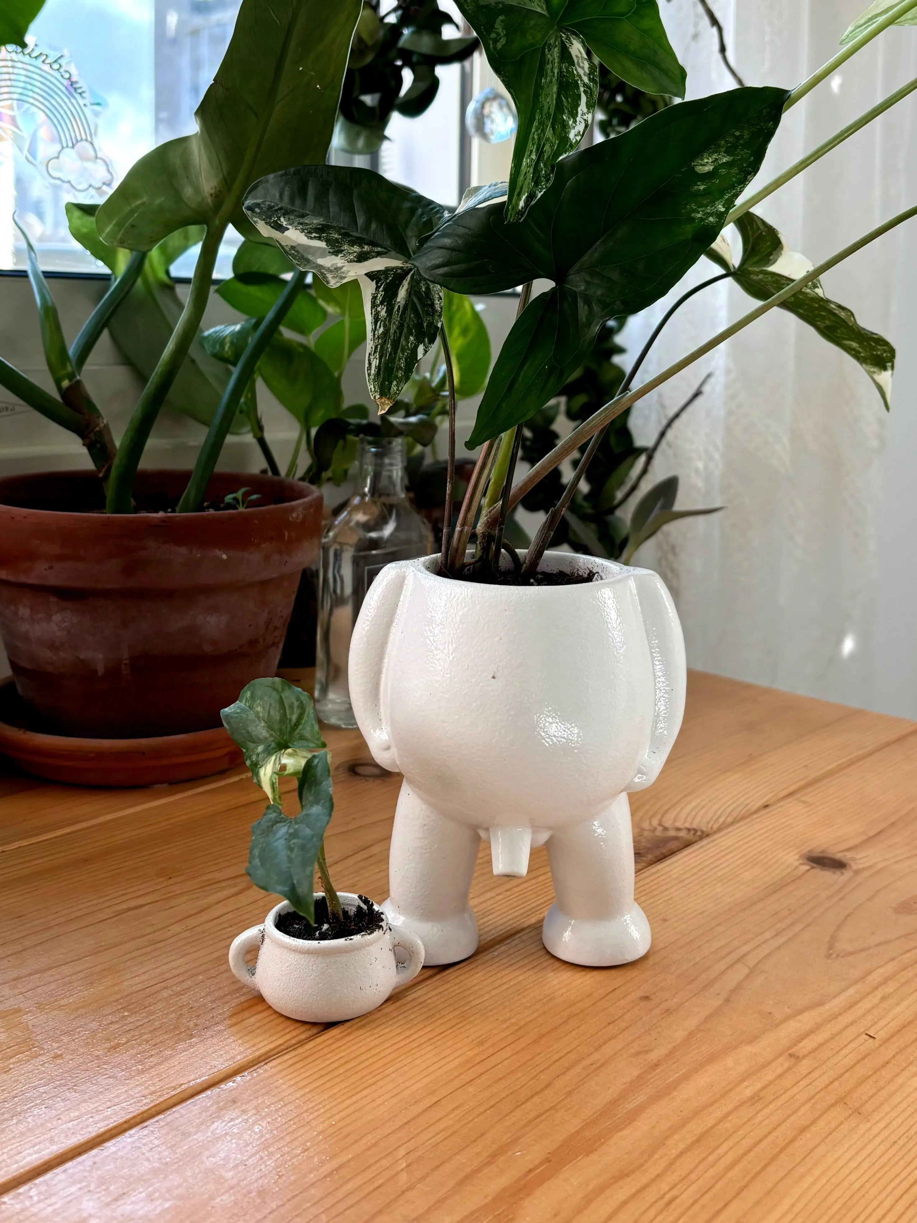 Ceramic Peeing Pot & Potty Trendslana