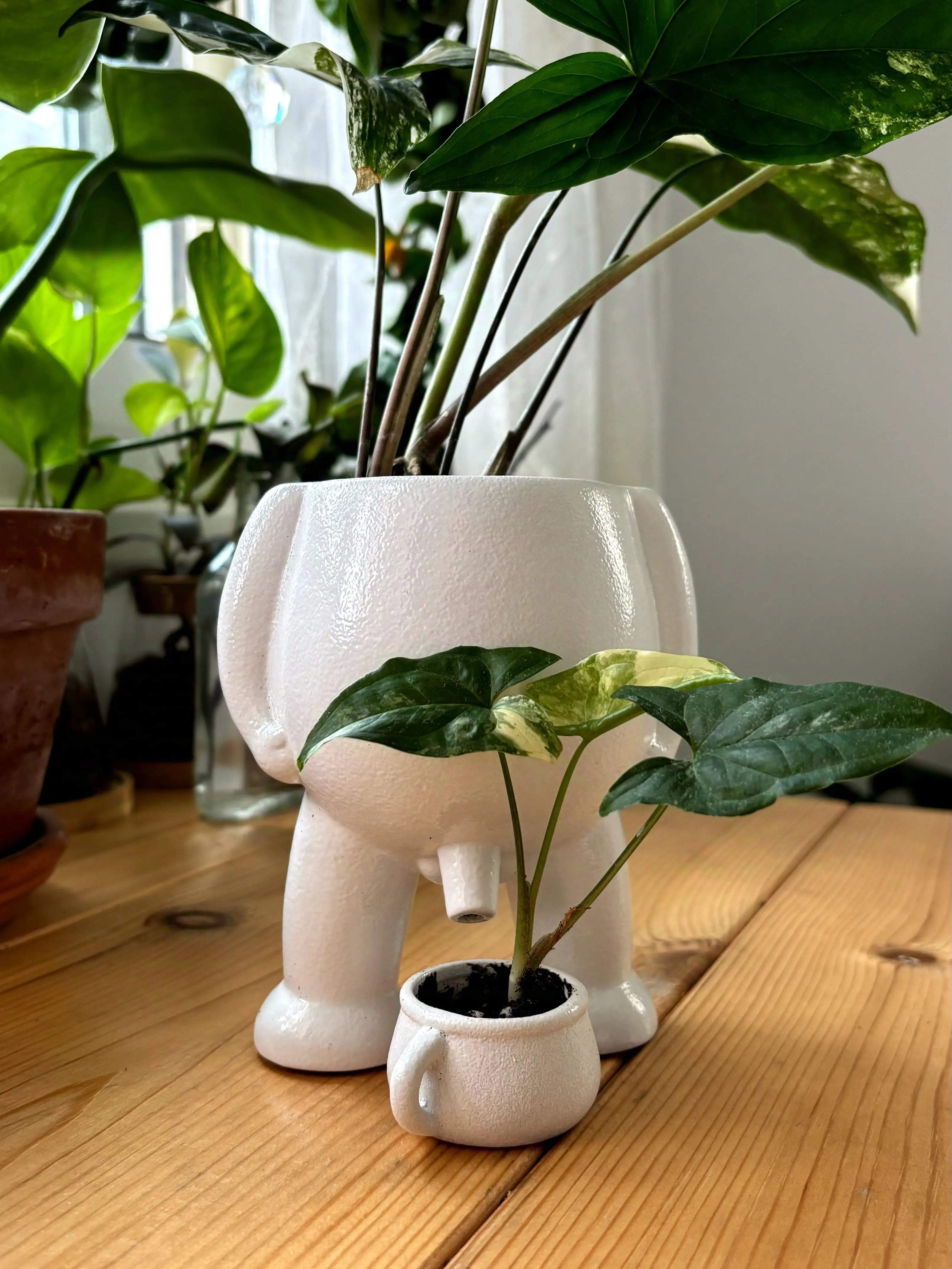Ceramic Peeing Pot & Potty Trendslana