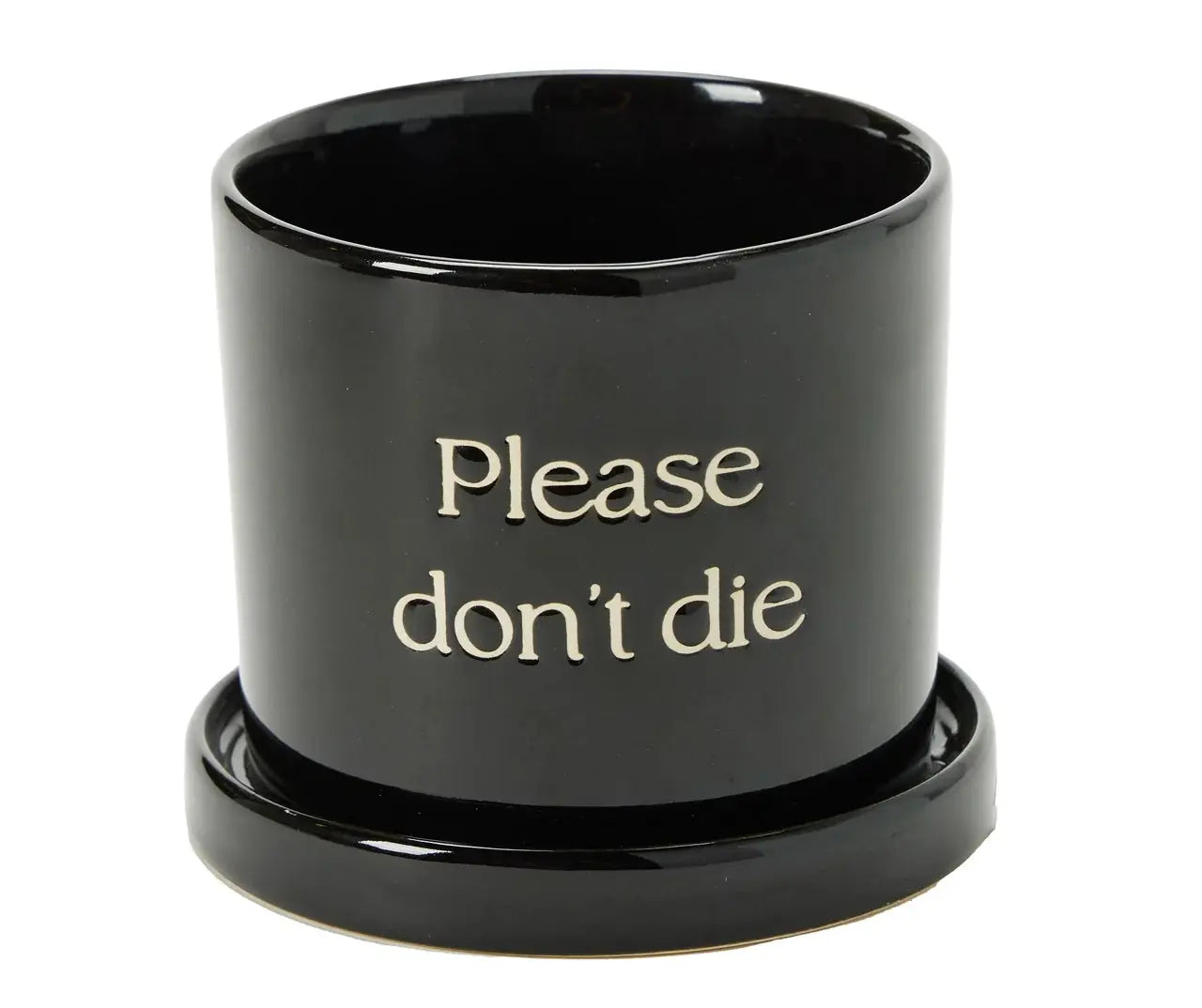 Whimsical Ceramic Planter Trendslana