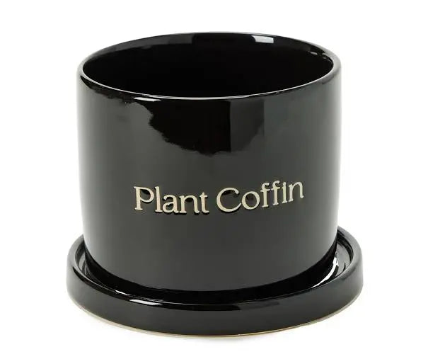 Whimsical Ceramic Planter Trendslana