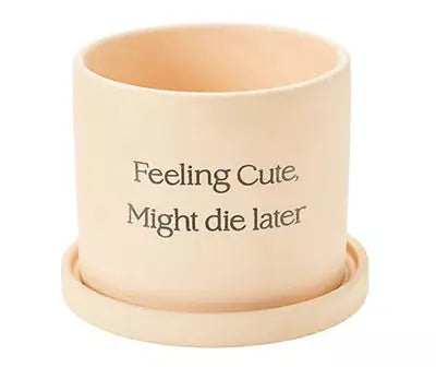 Whimsical Ceramic Planter Trendslana