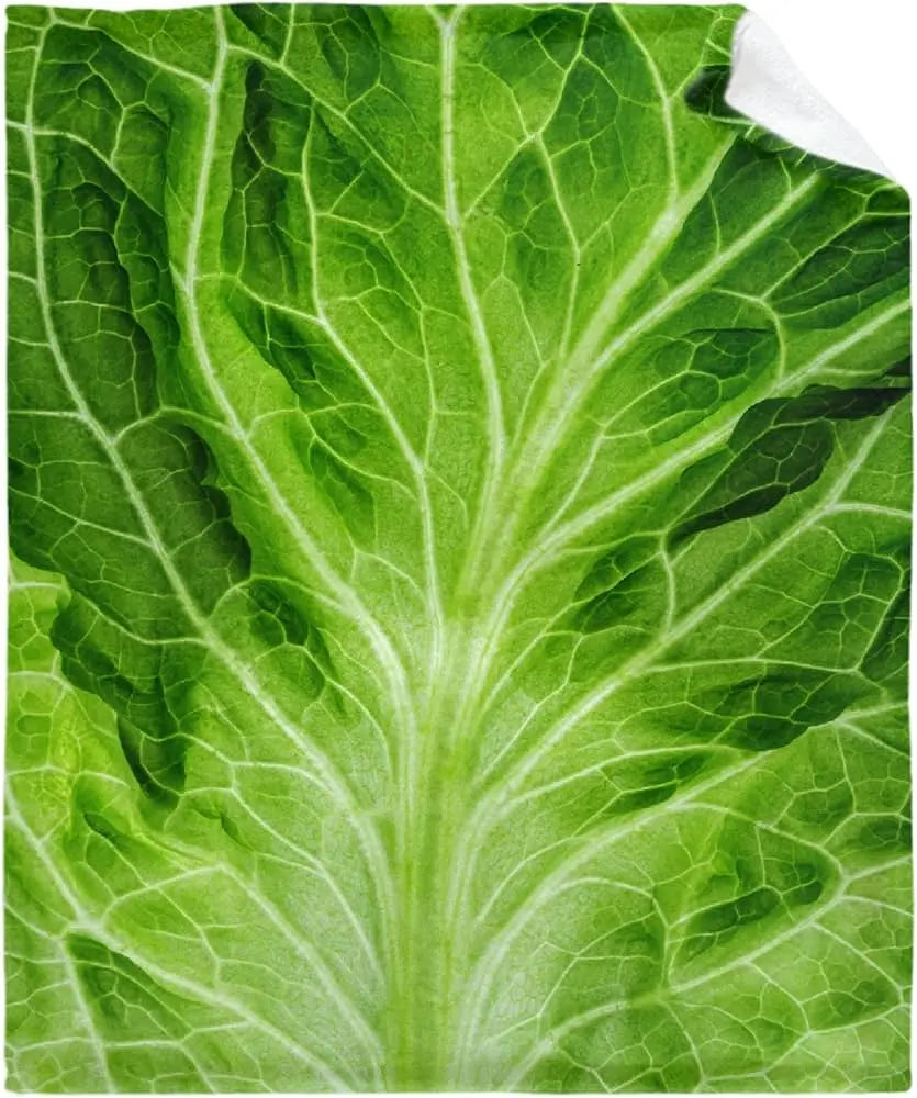 Funny Cabbage Blanket Trendslana