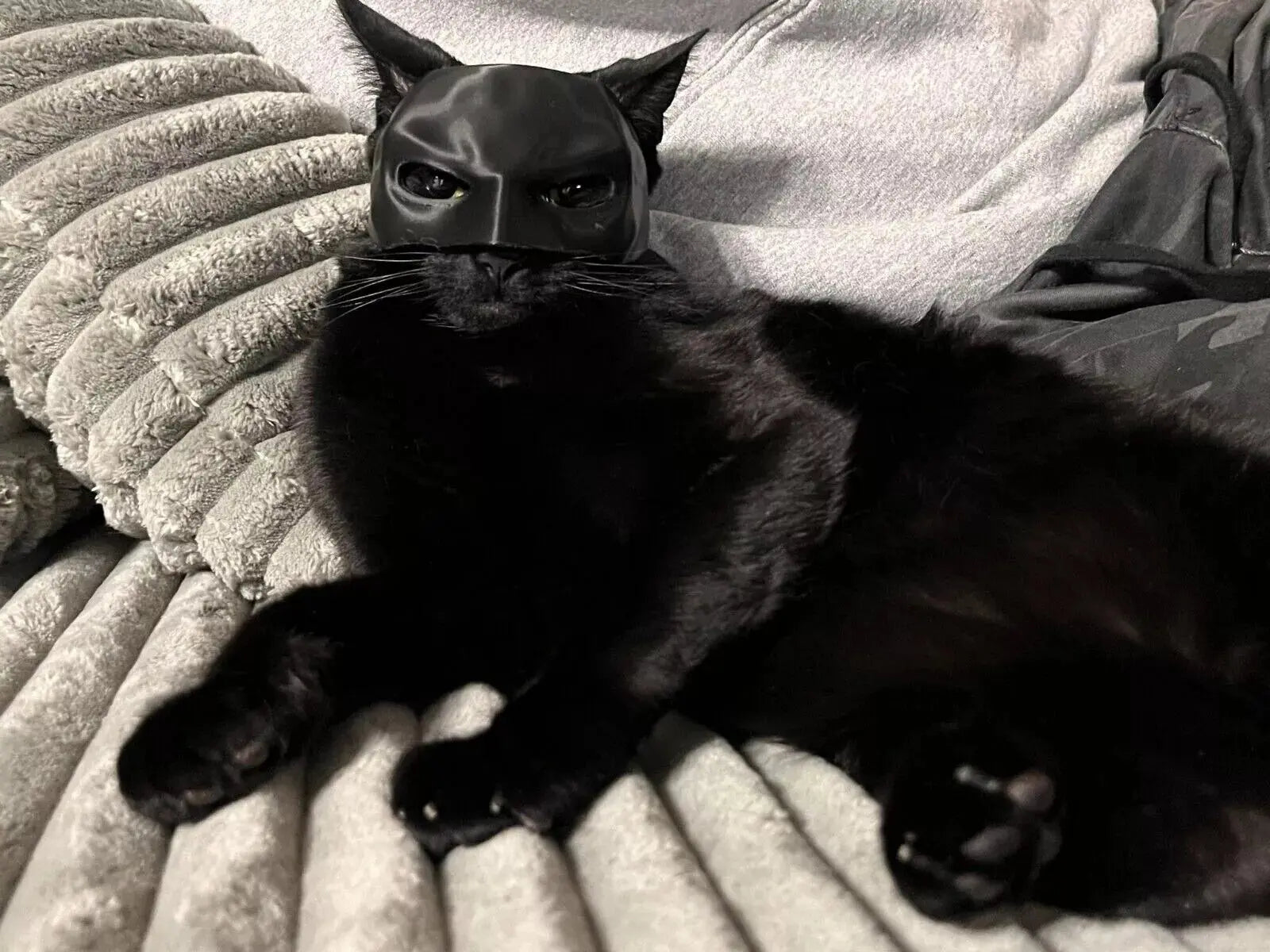 BATMAN 3D PRINTED CAT MASK Trendslana