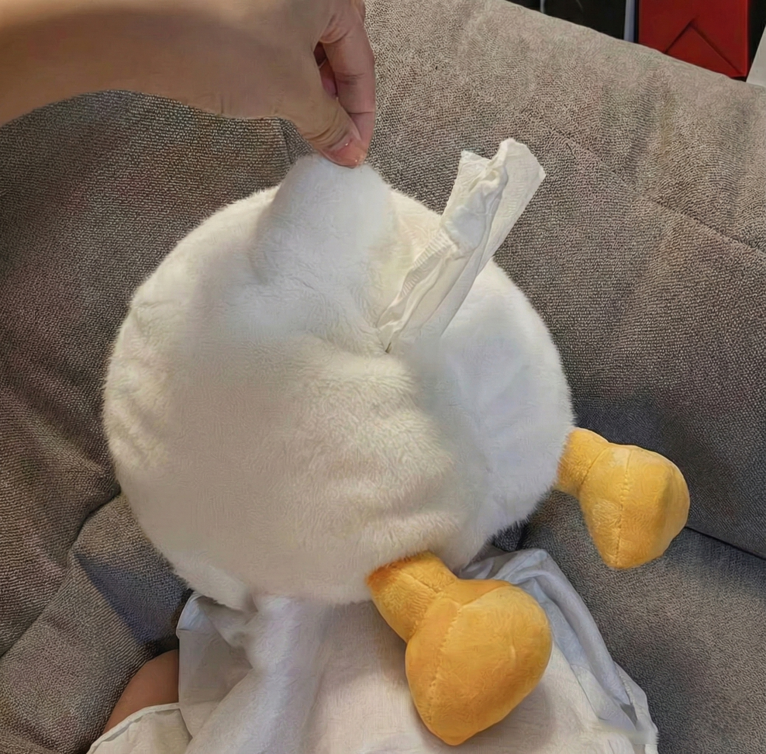 Quackbottom Tissue Box