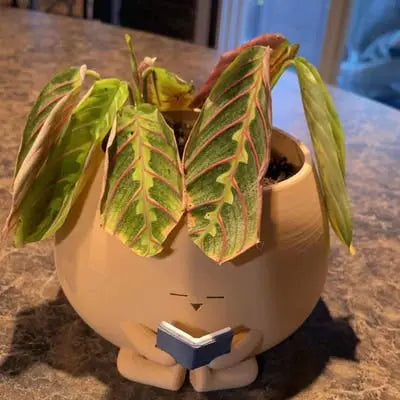 Cozy Pot Reading Book Trendslana