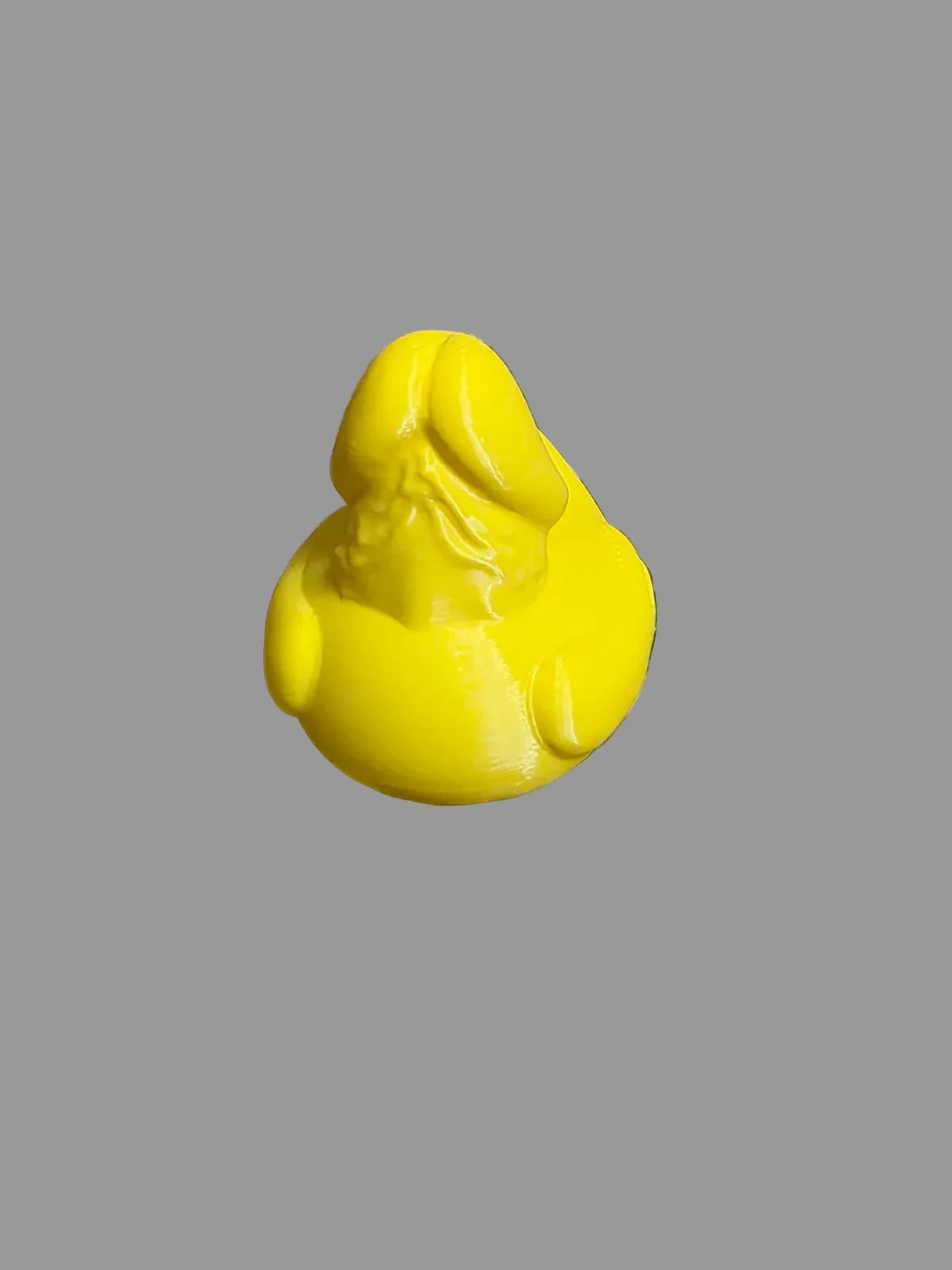 3D Prank Ducks