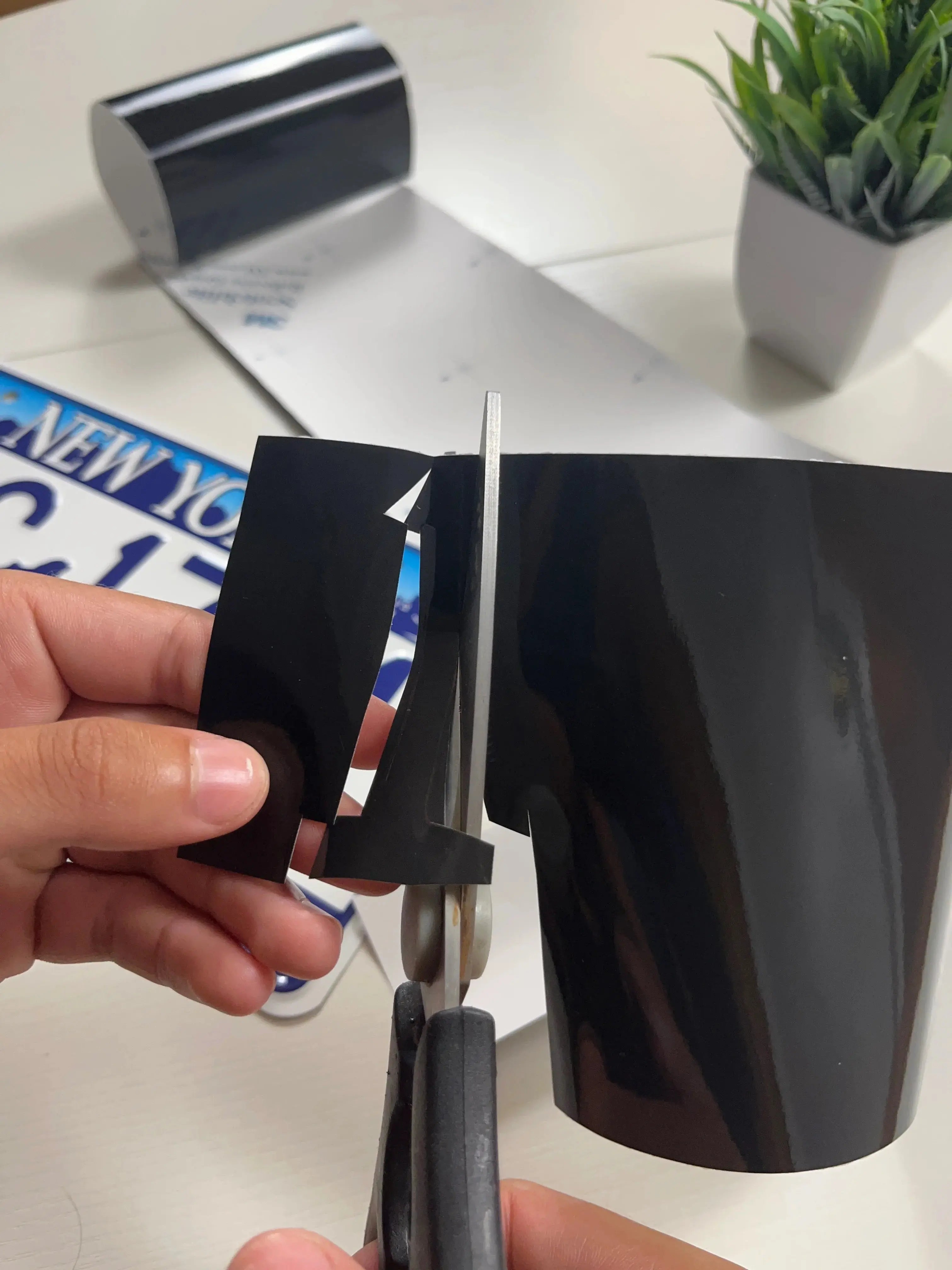 Shield License Cover Trendslana