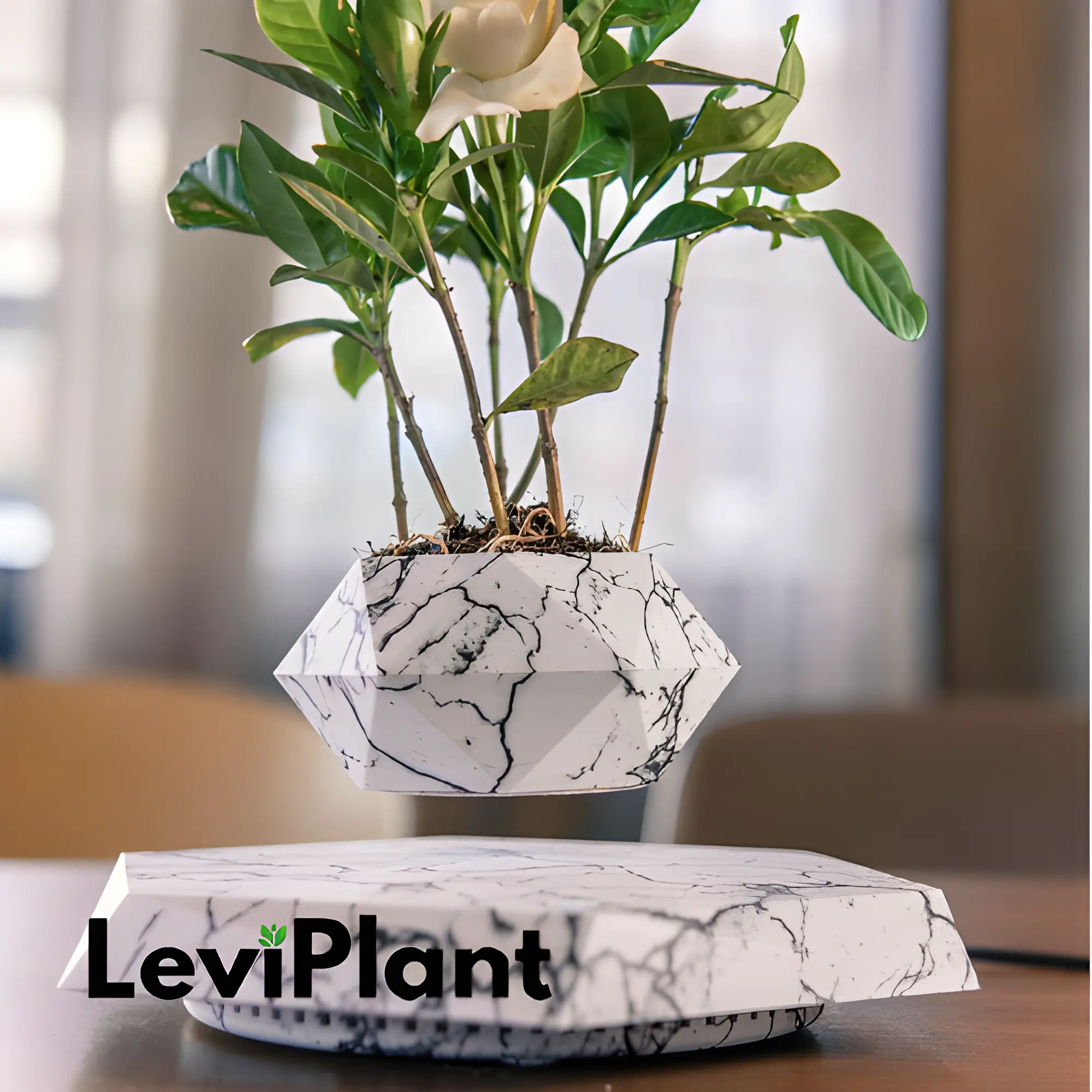 LEVI PLANT POT Trendslana