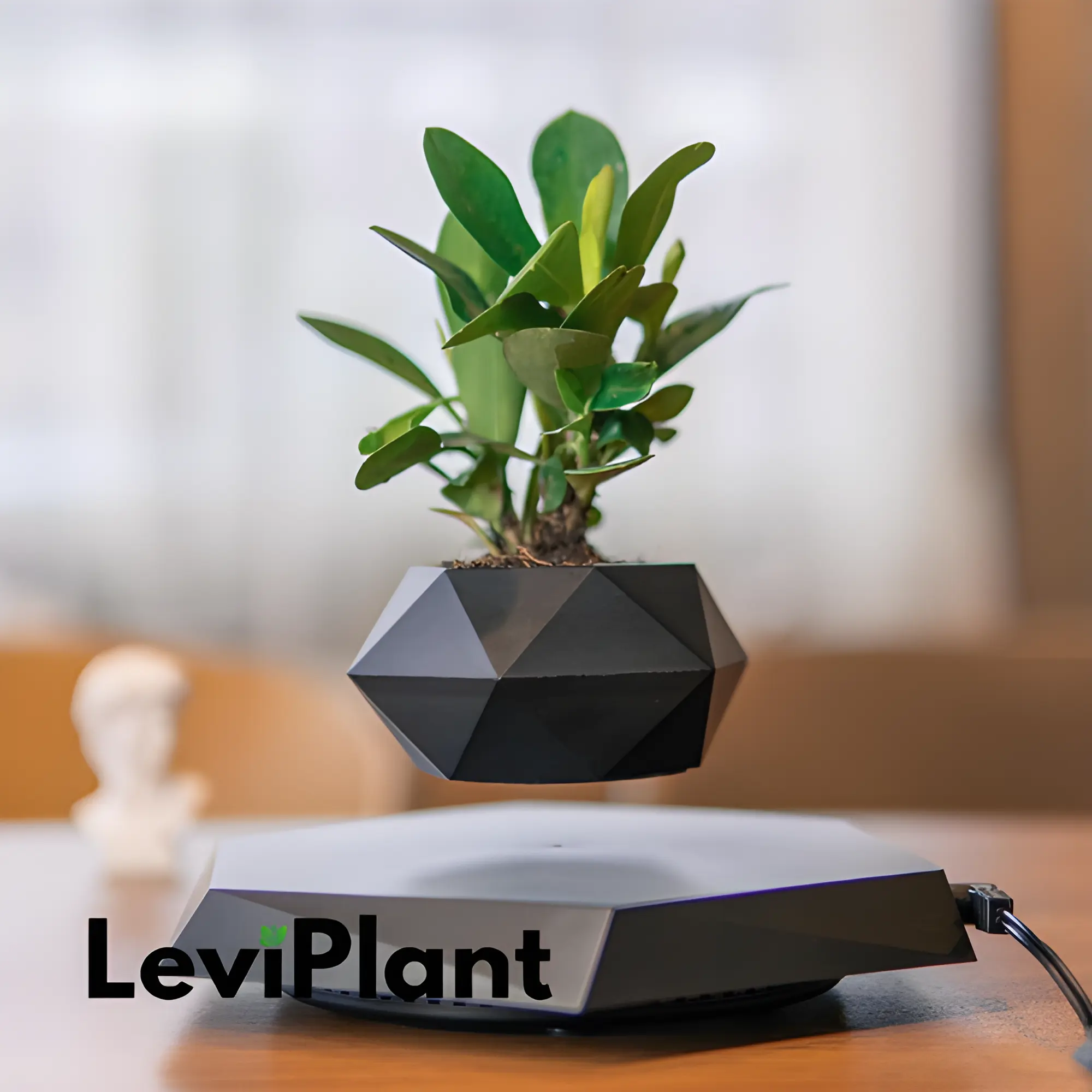 LEVI PLANT POT Trendslana