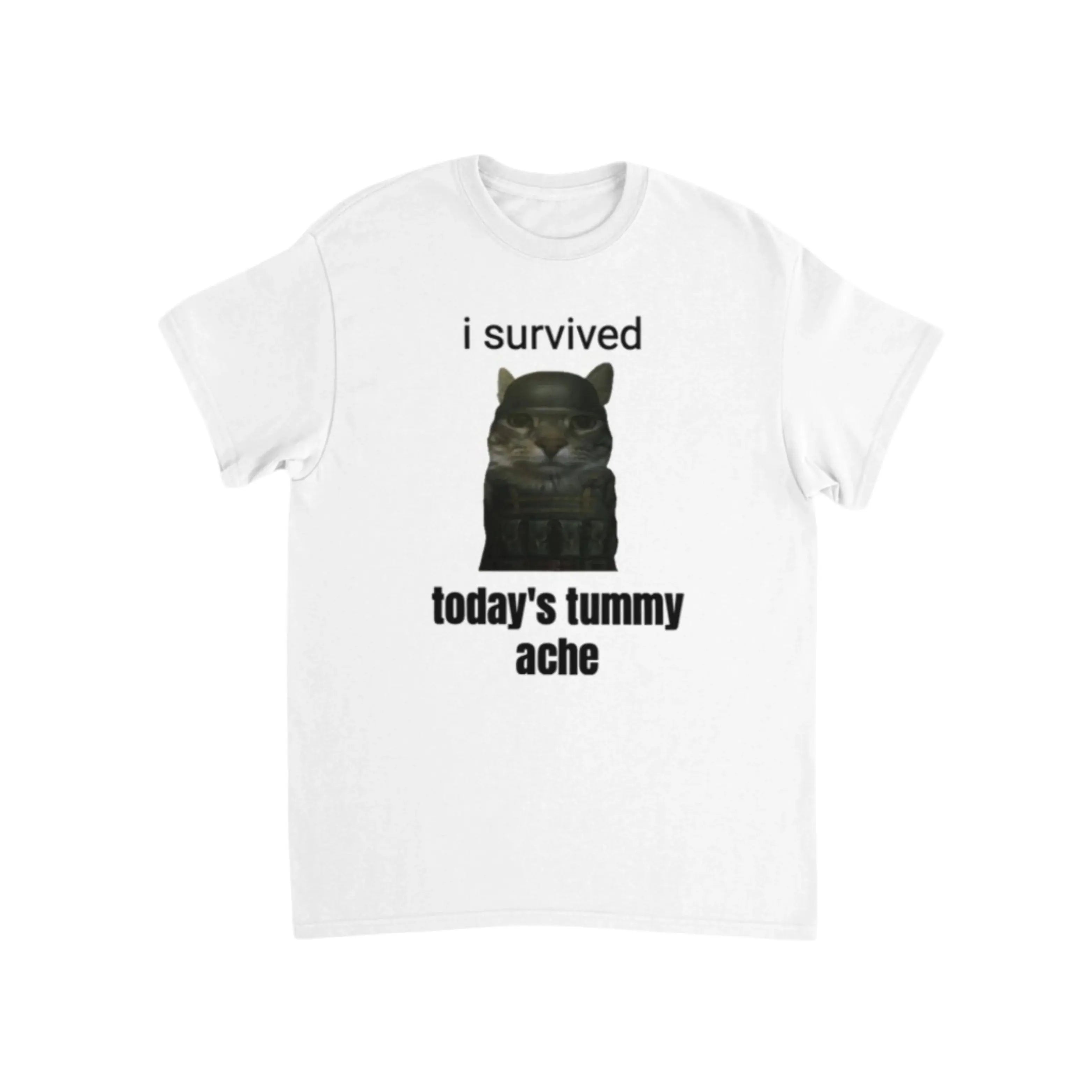 I survived today's tummy ache T-Shirt Trendslana