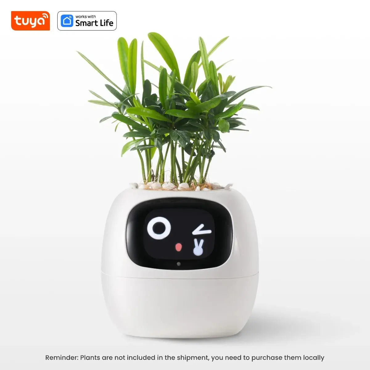 AI Smart Planter My Store