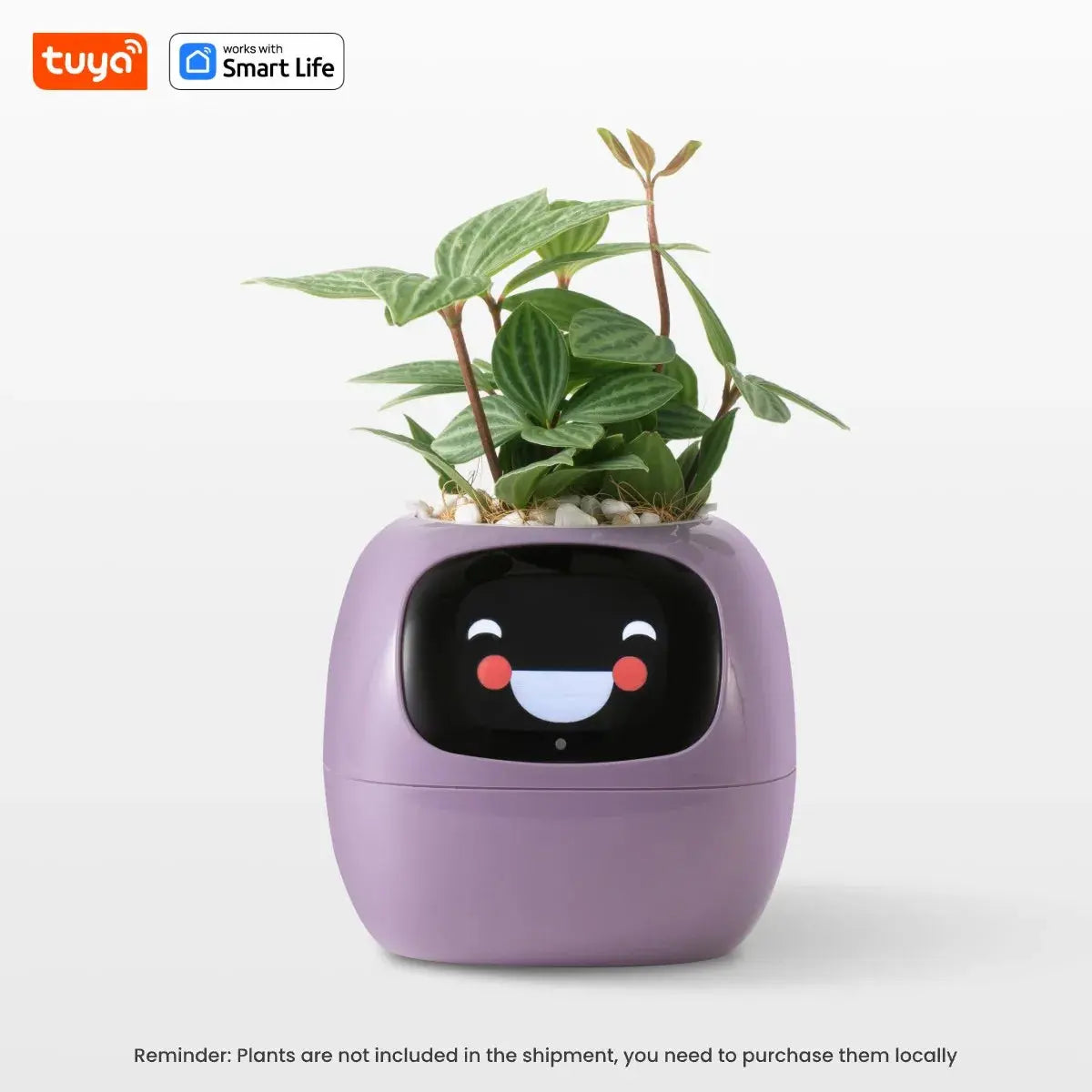 AI Smart Planter My Store